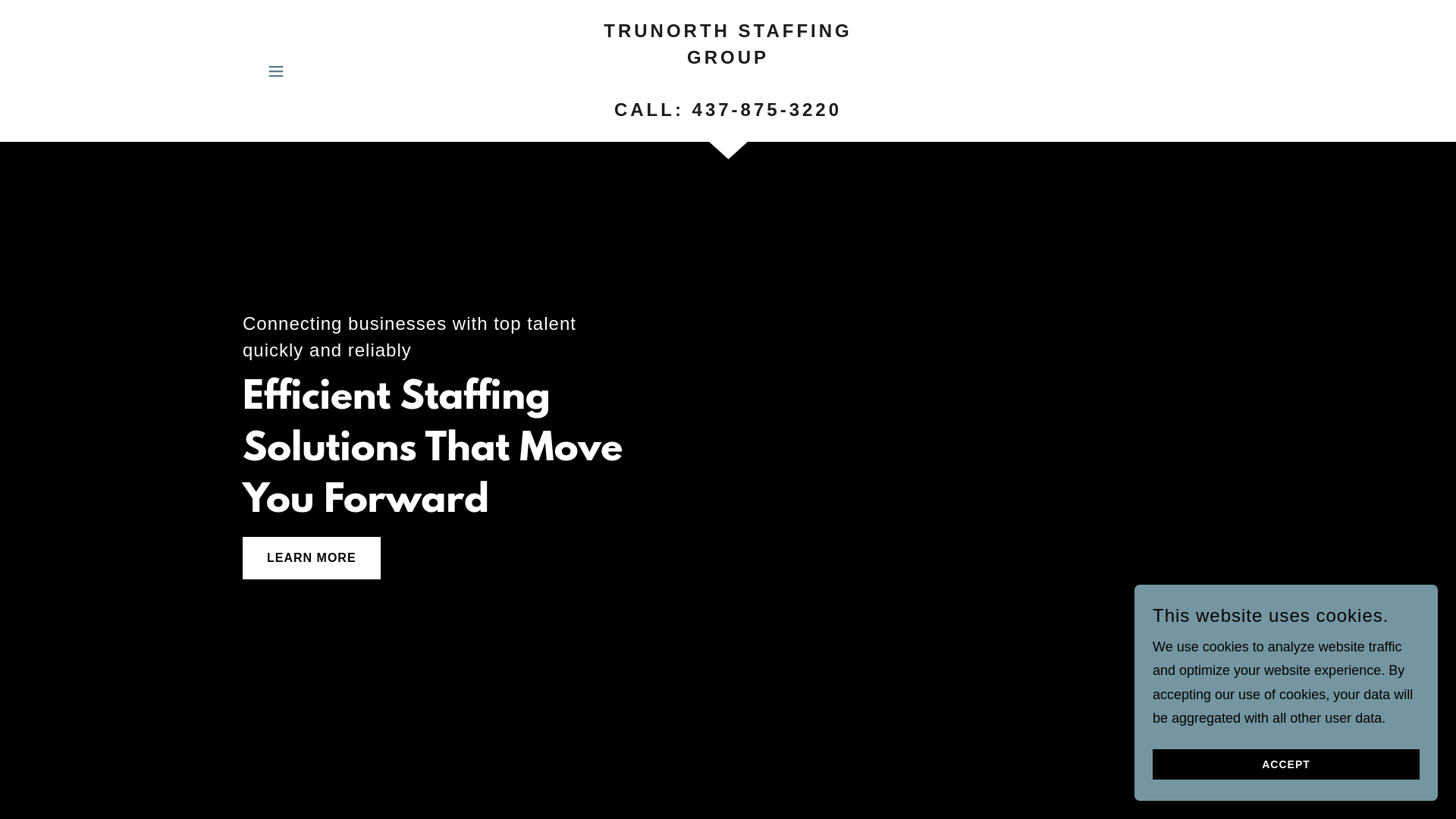 website screenshot of https://trunorthstaffinggroup.com/
