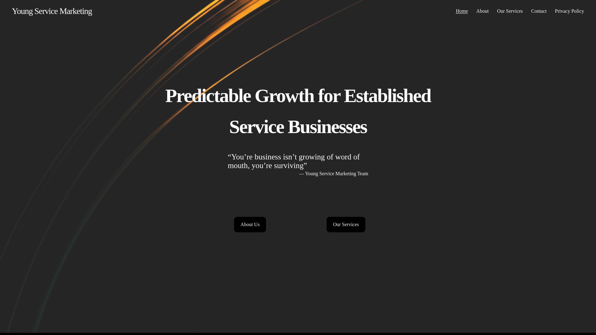 website screenshot of https://youngservicemarketing.com/