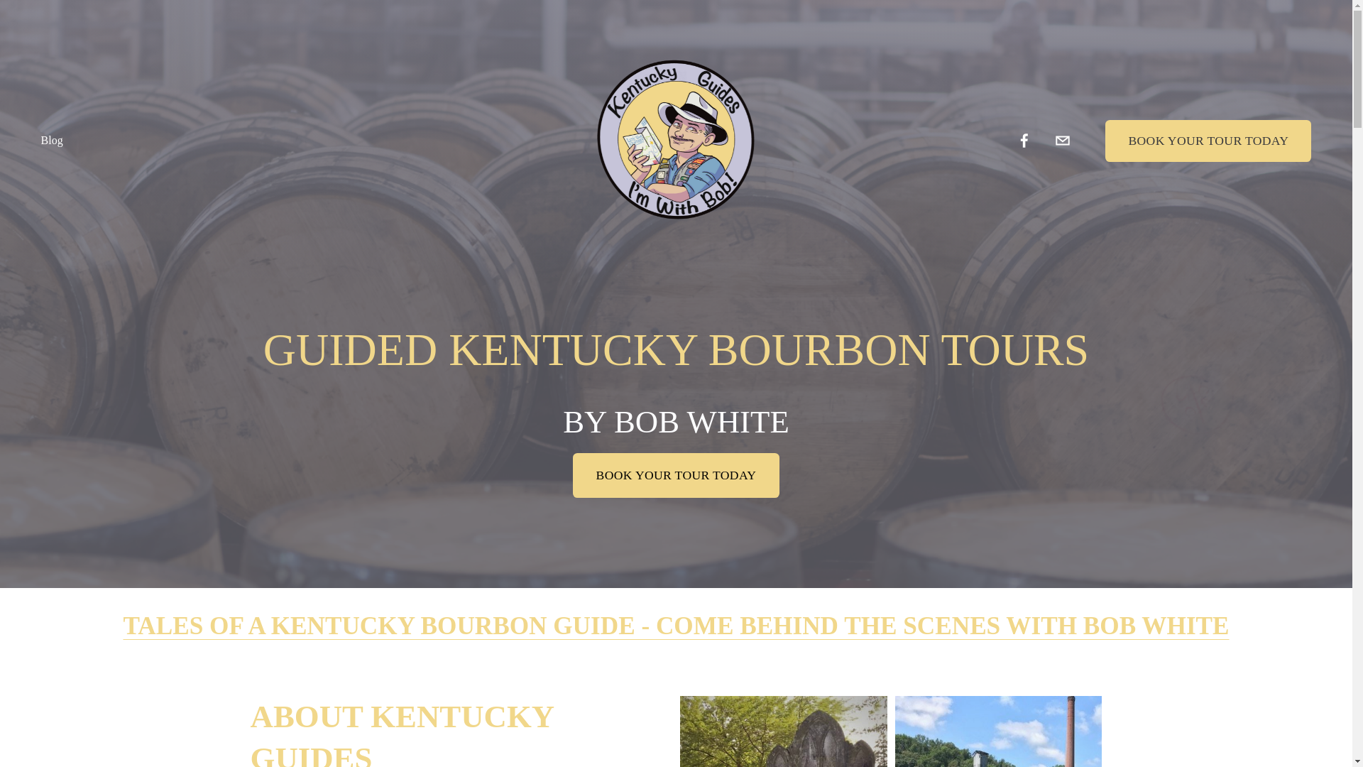 website screenshot of https://kentuckyguides.org/