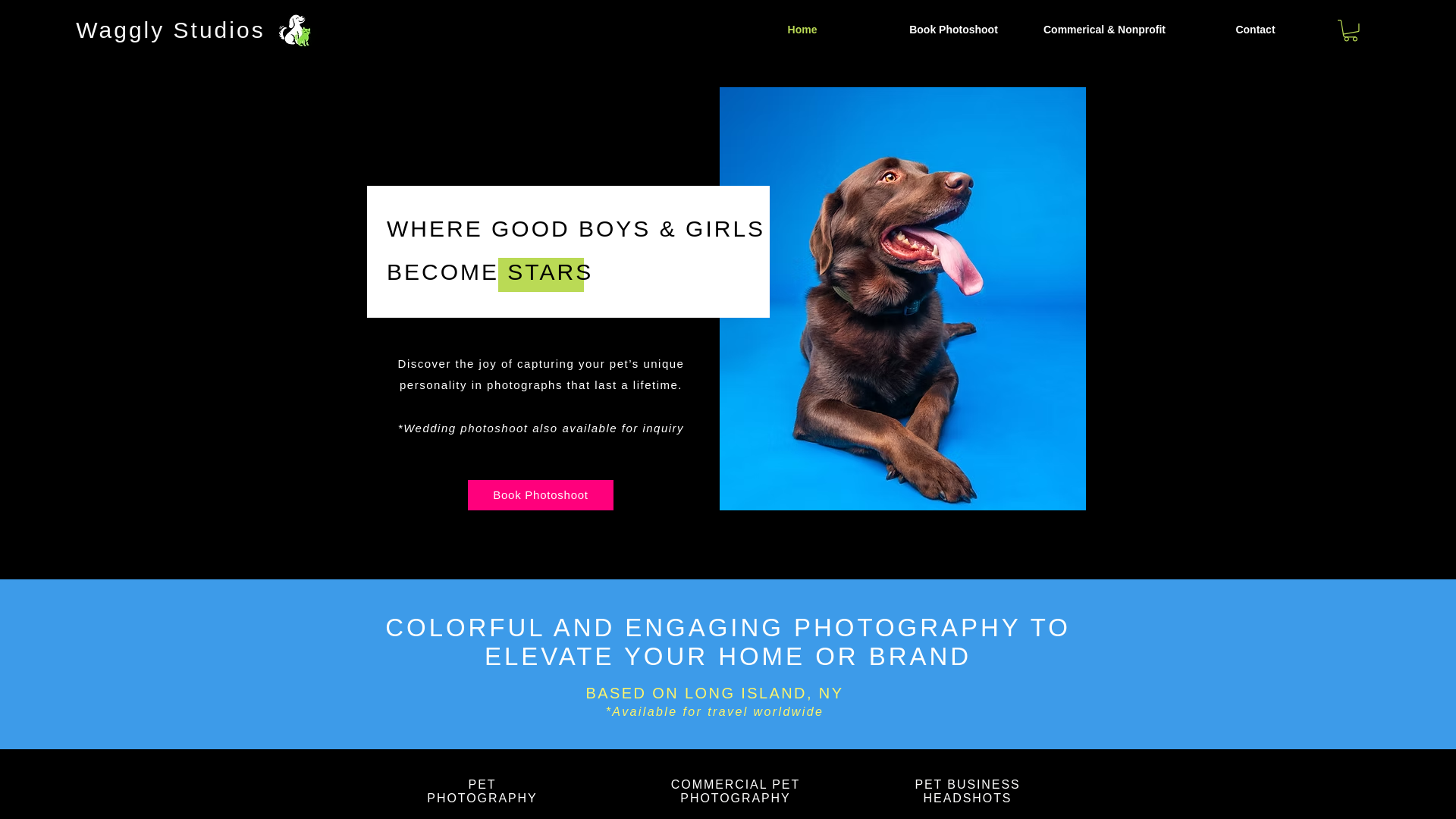 website screenshot of https://wagglystudios.com/