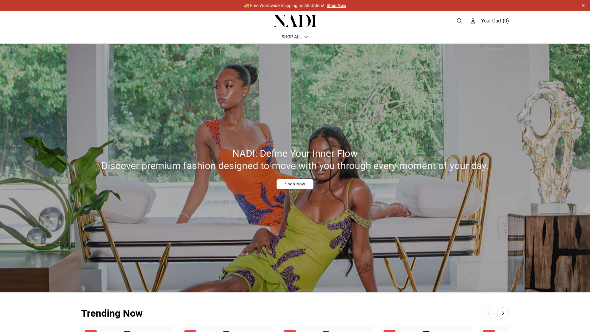 website screenshot of https://nadibydanistyle.shop