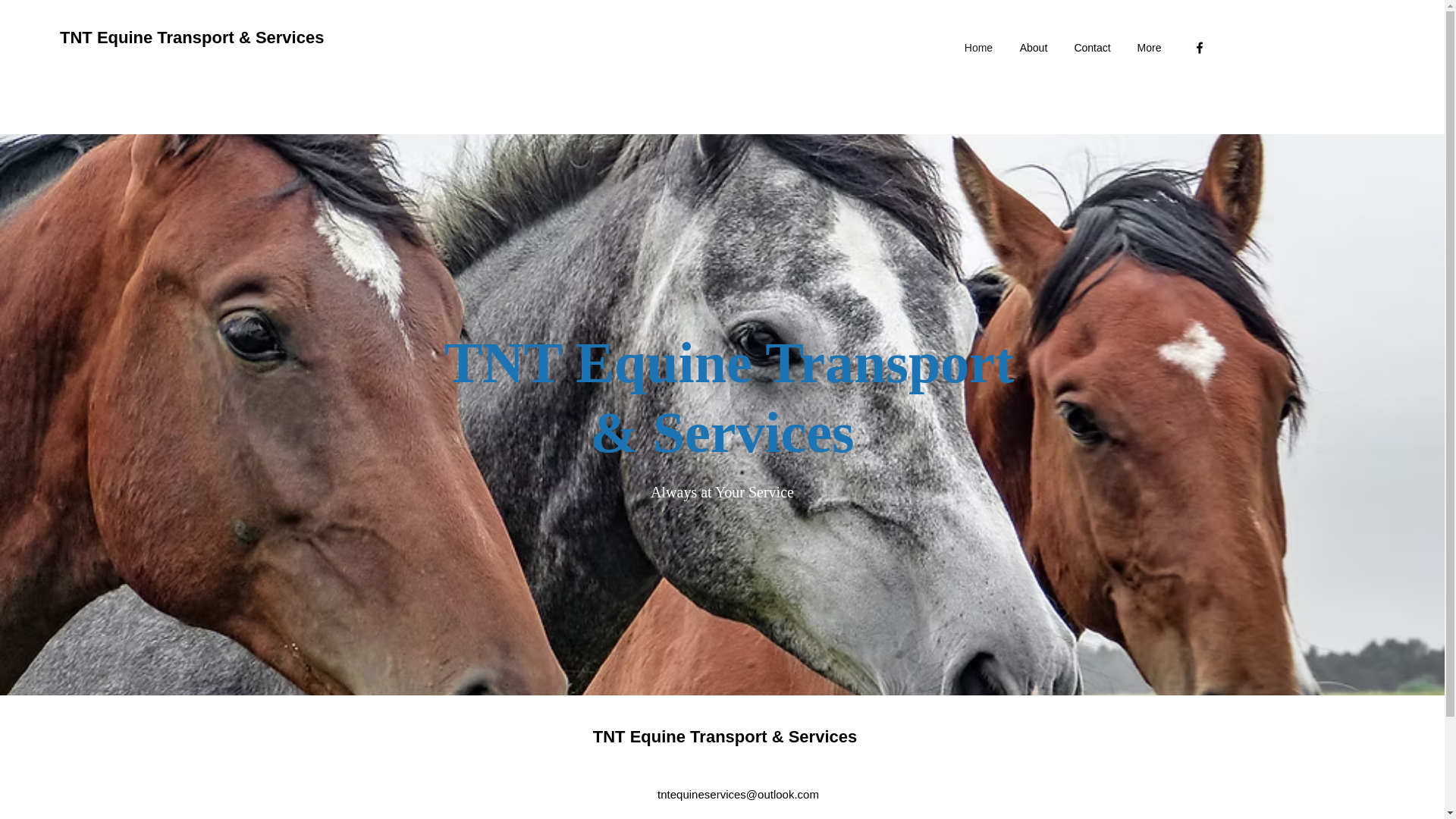 website screenshot of https://tntequineservices.com/