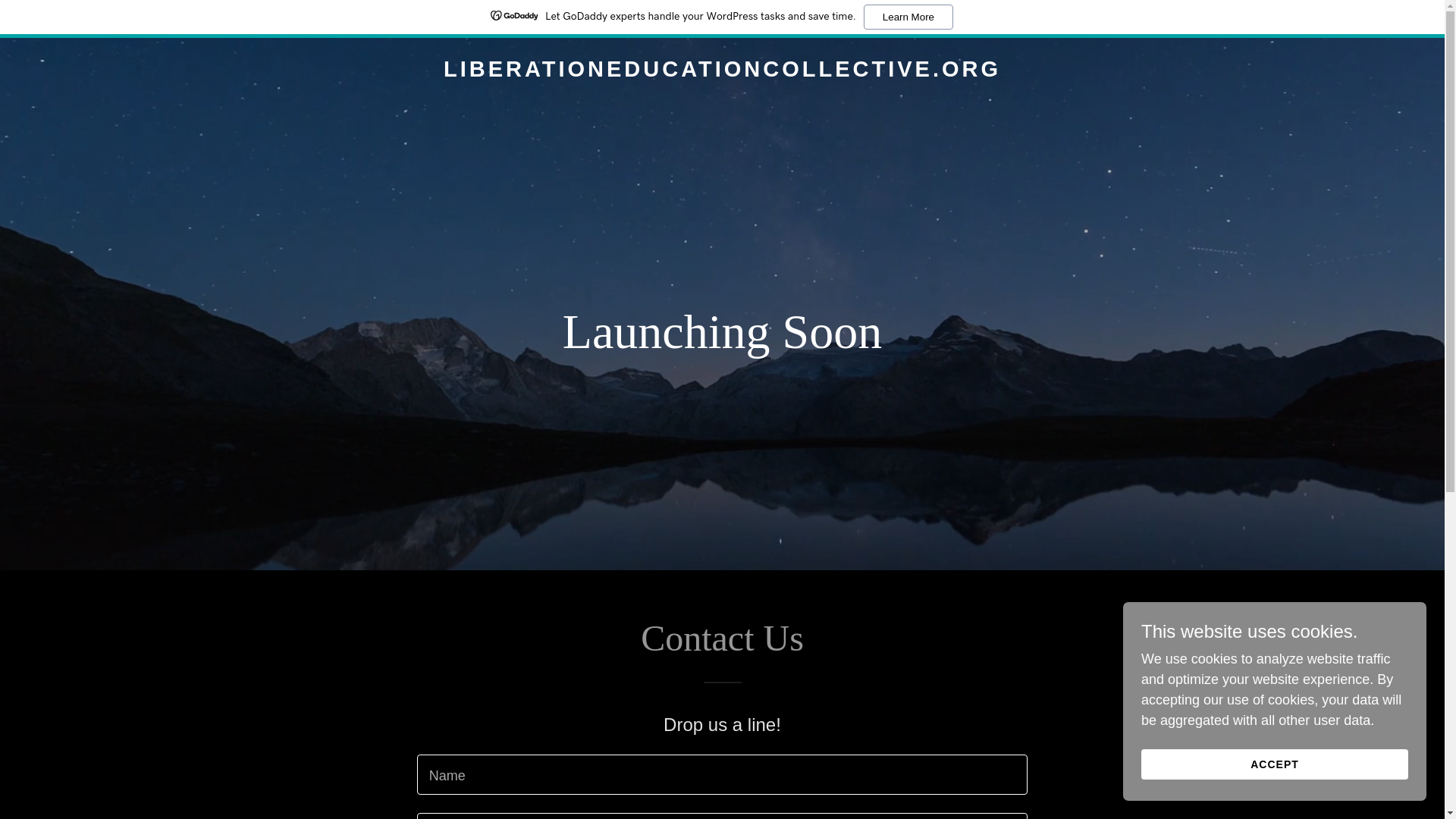 website screenshot of https://liberationeducationcollective.org/