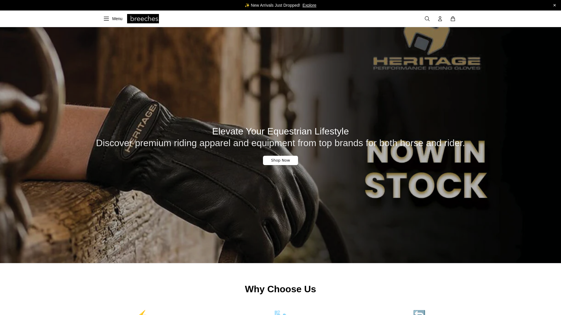 website screenshot of https://breechesstore.shop/