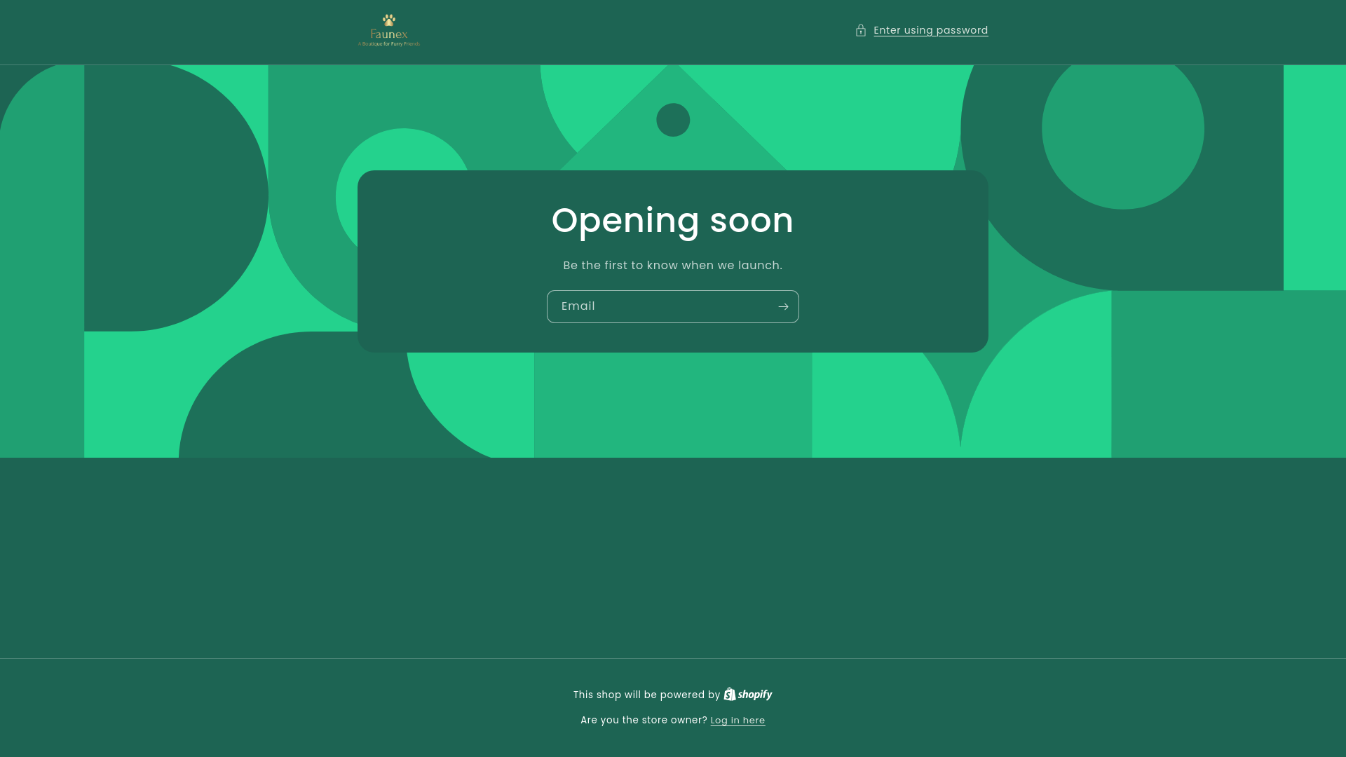 website screenshot of https://faunexstore.com/