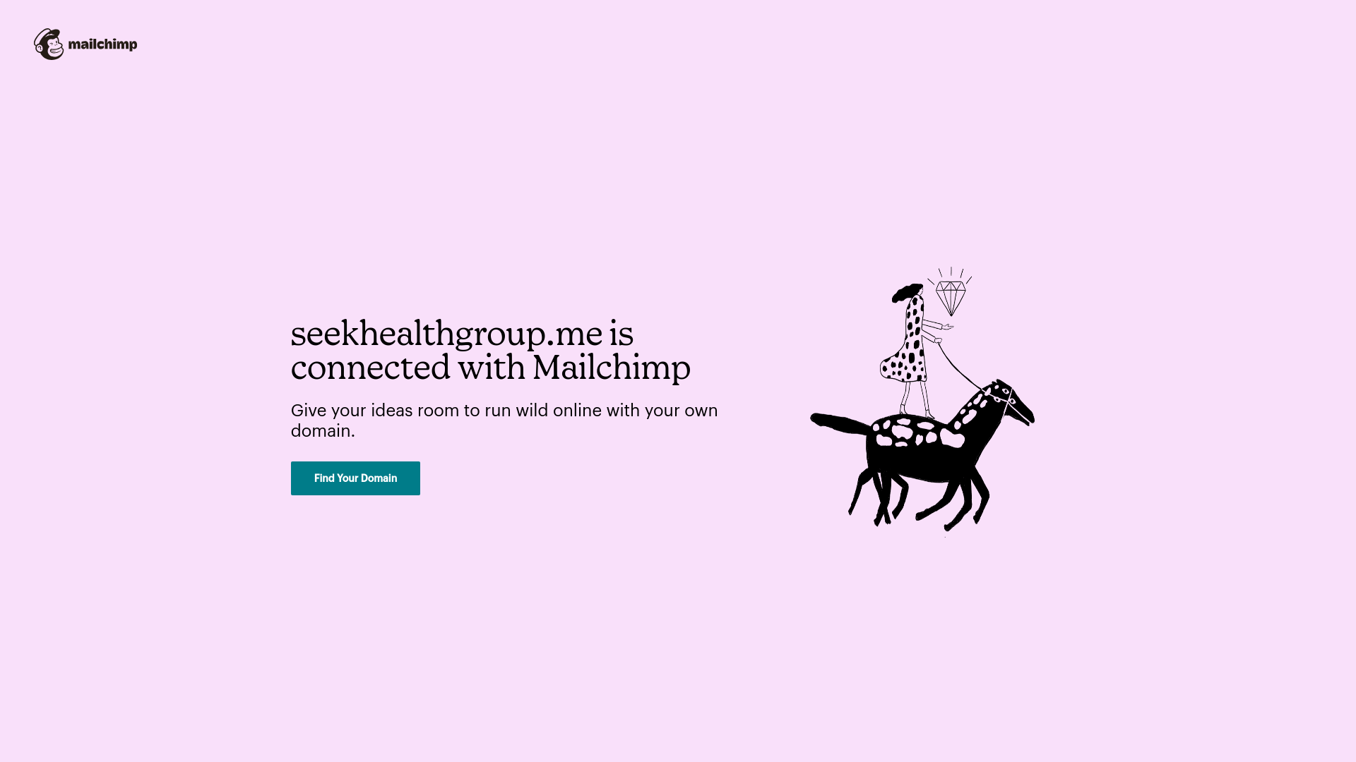 website screenshot of https://seekhealthgroup.me/