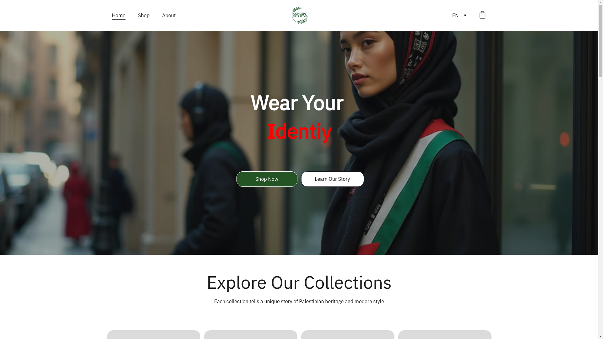 website screenshot of https://conceptpalestine.com/