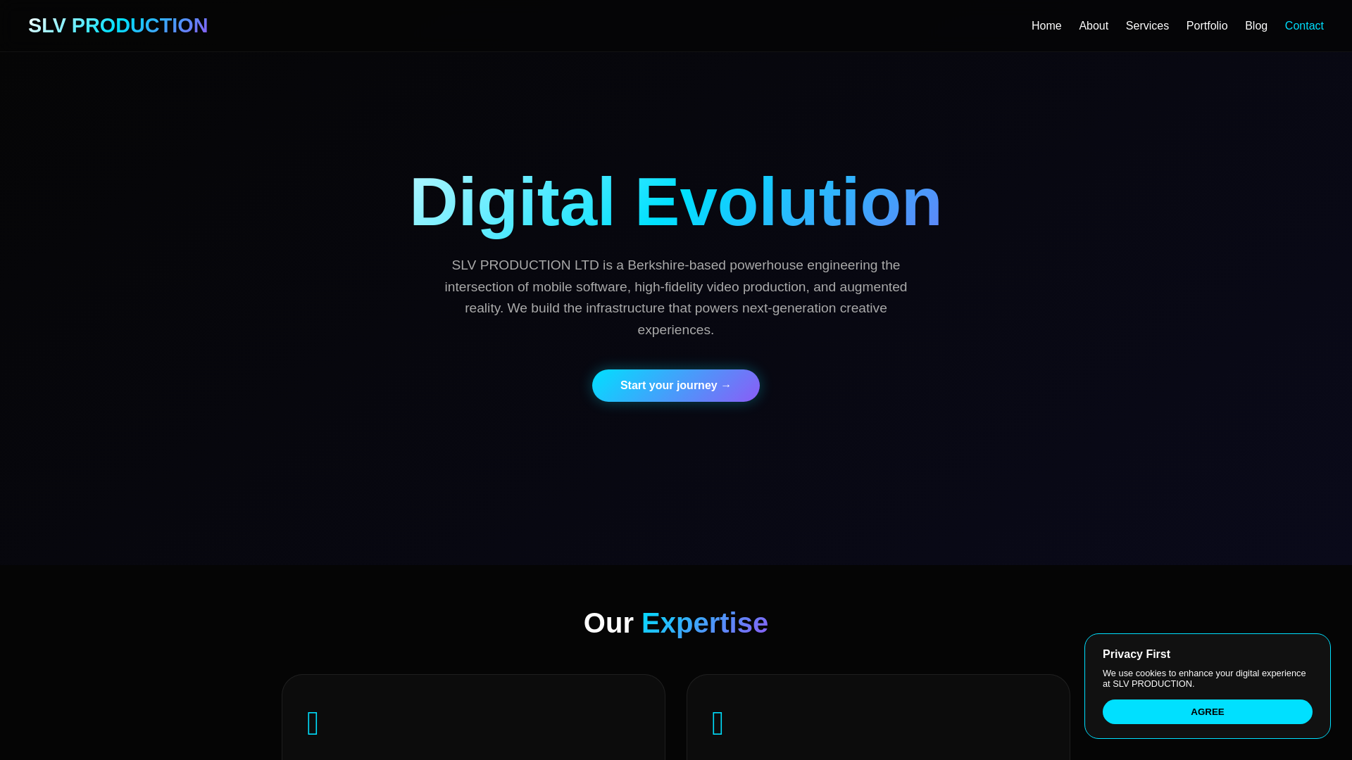 website screenshot of https://slvproduction.pages.dev/