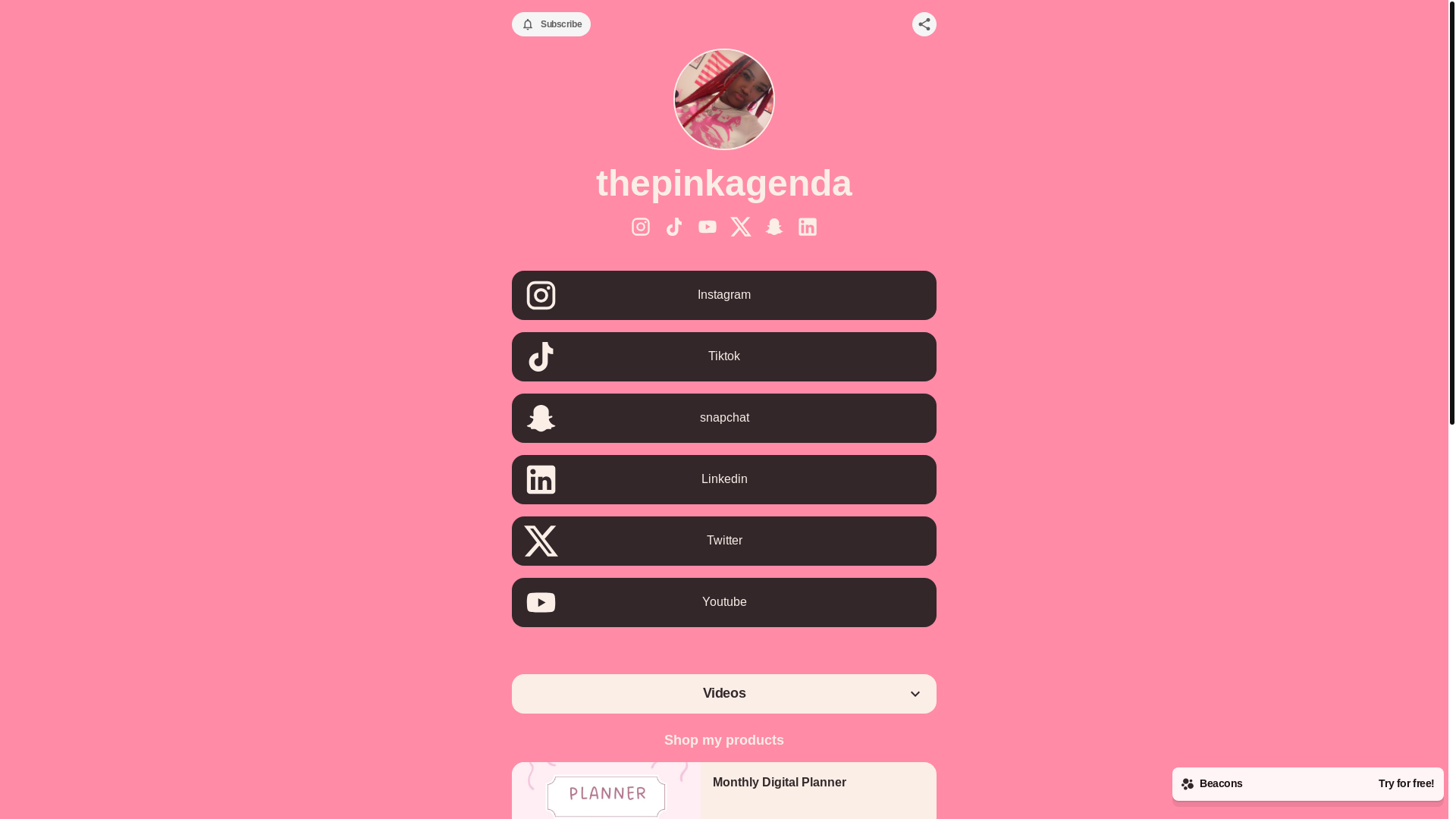 website screenshot of https://thepinkagenda.store/