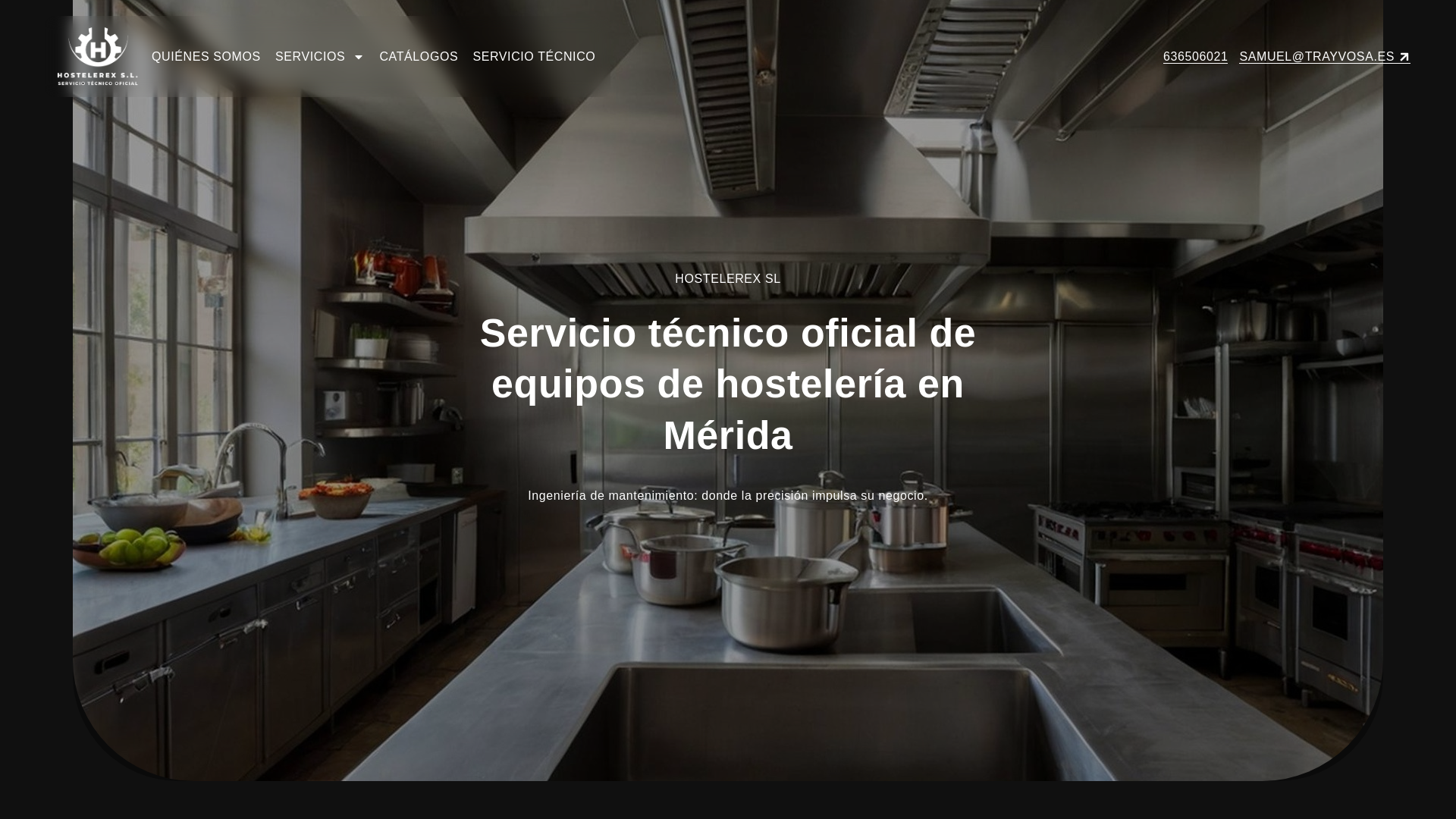 website screenshot of https://hostelerex.com/
