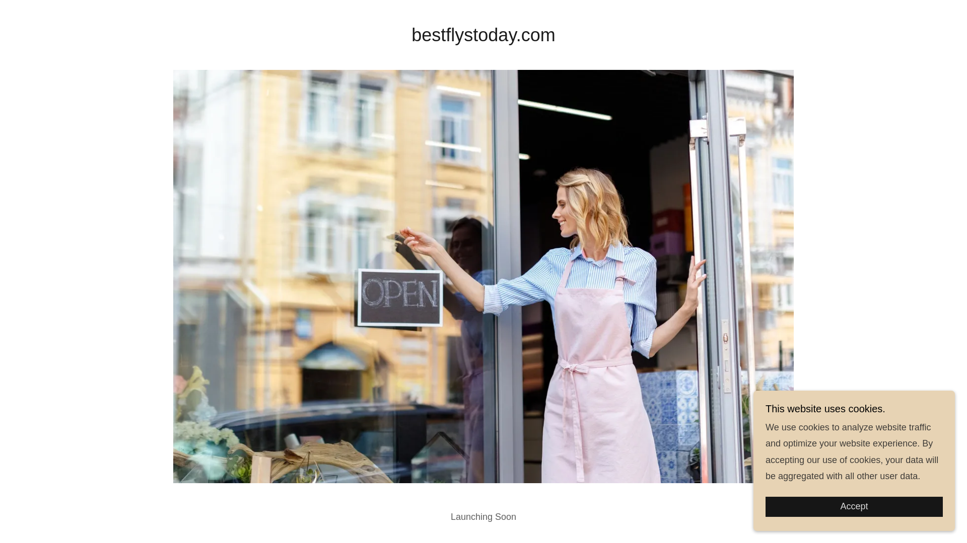 website screenshot of https://bestflystoday.com/