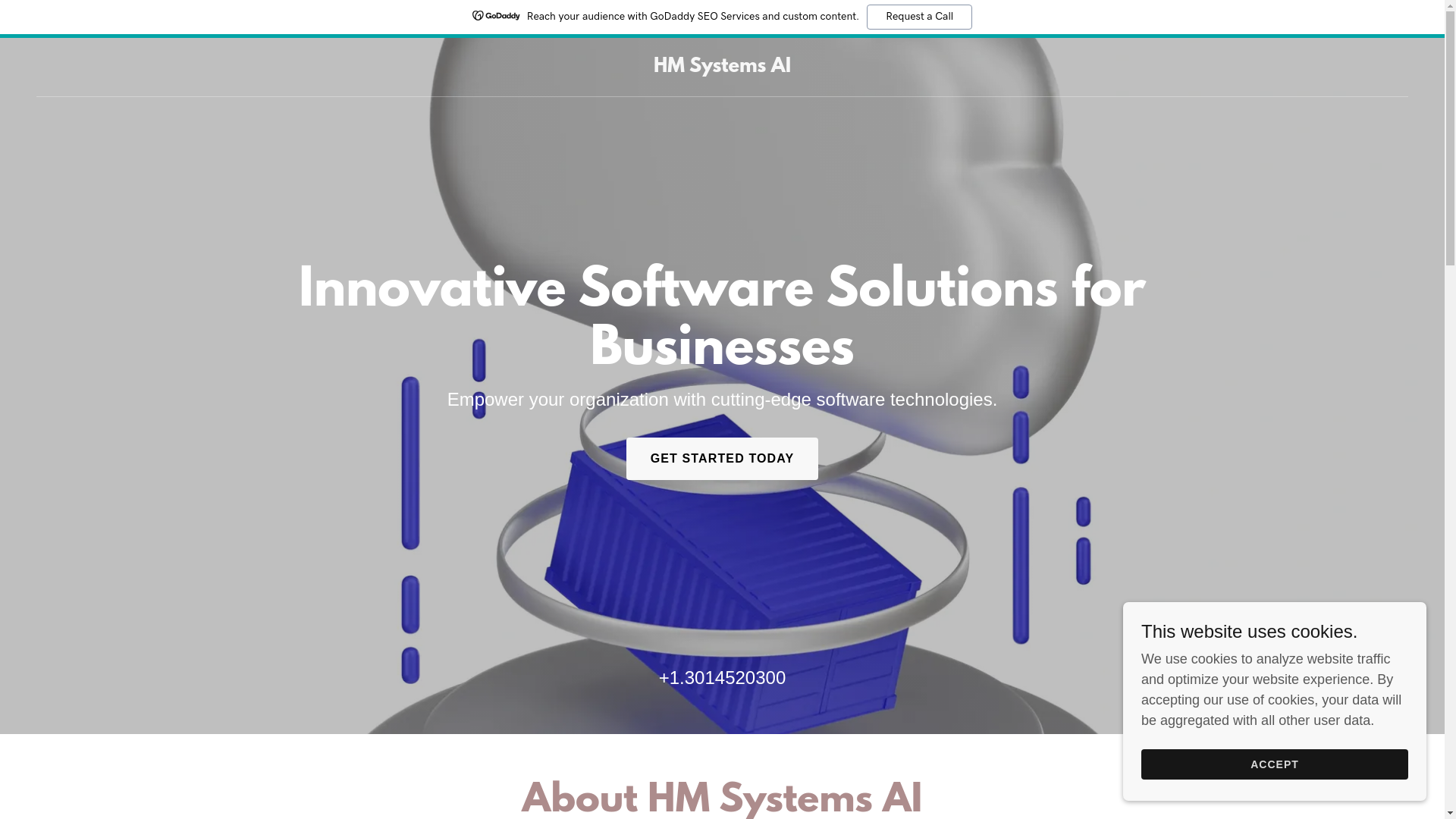 website screenshot of https://hmsystemsai.com/