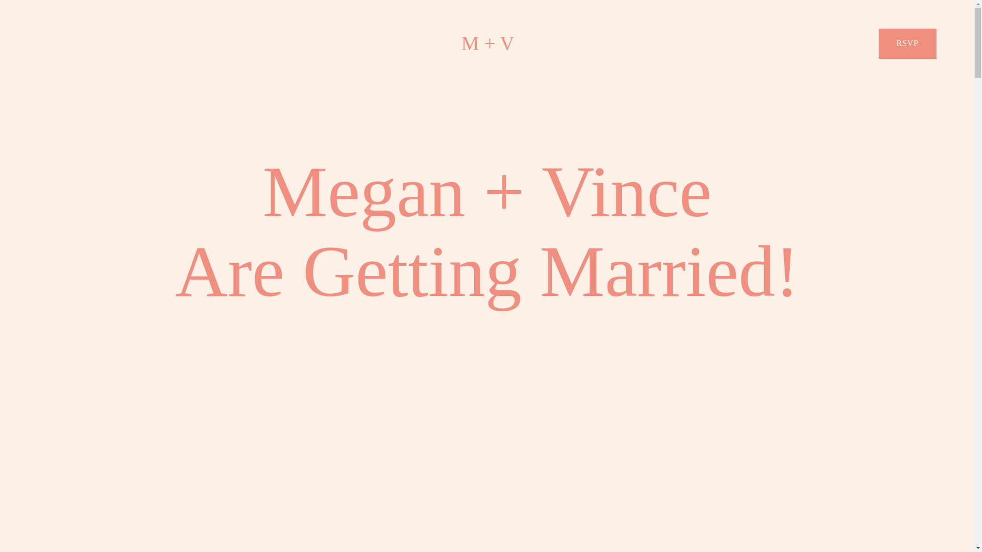 website screenshot of https://meganandvince2026.com/