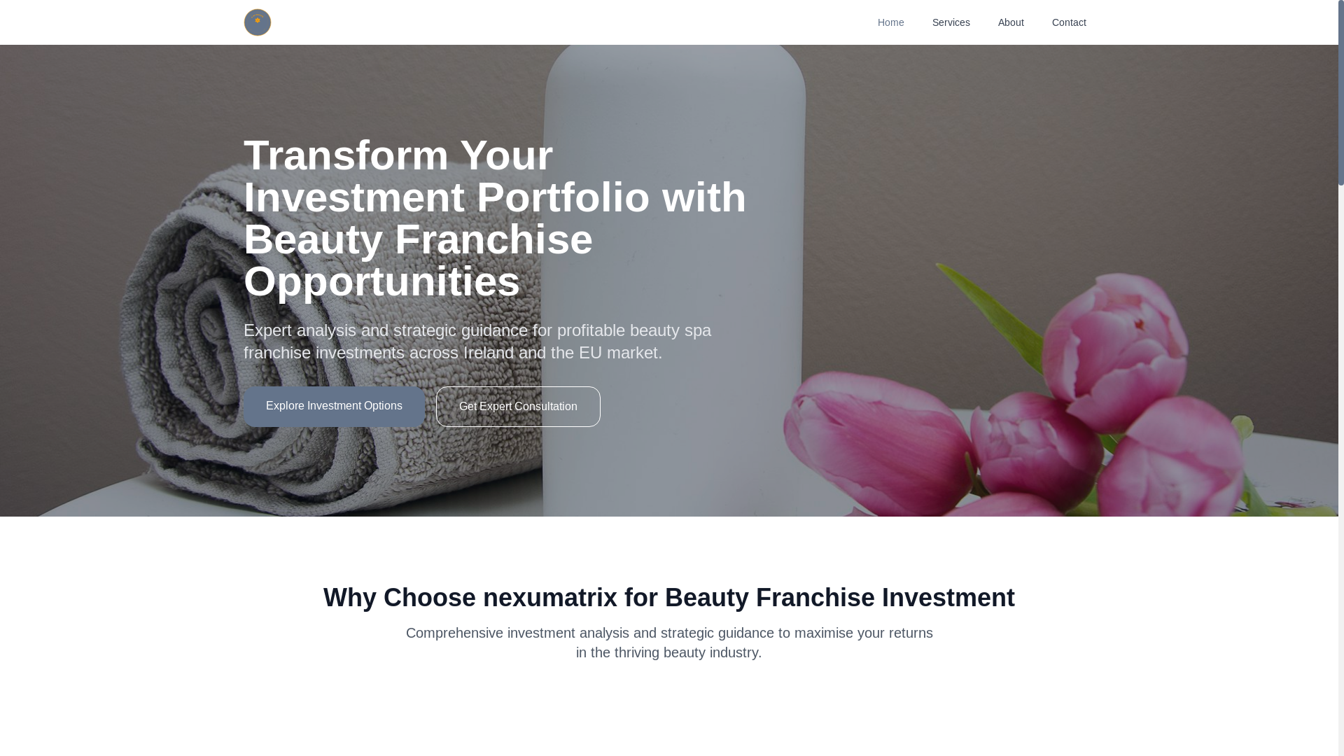 website screenshot of https://nexumatrix.top/