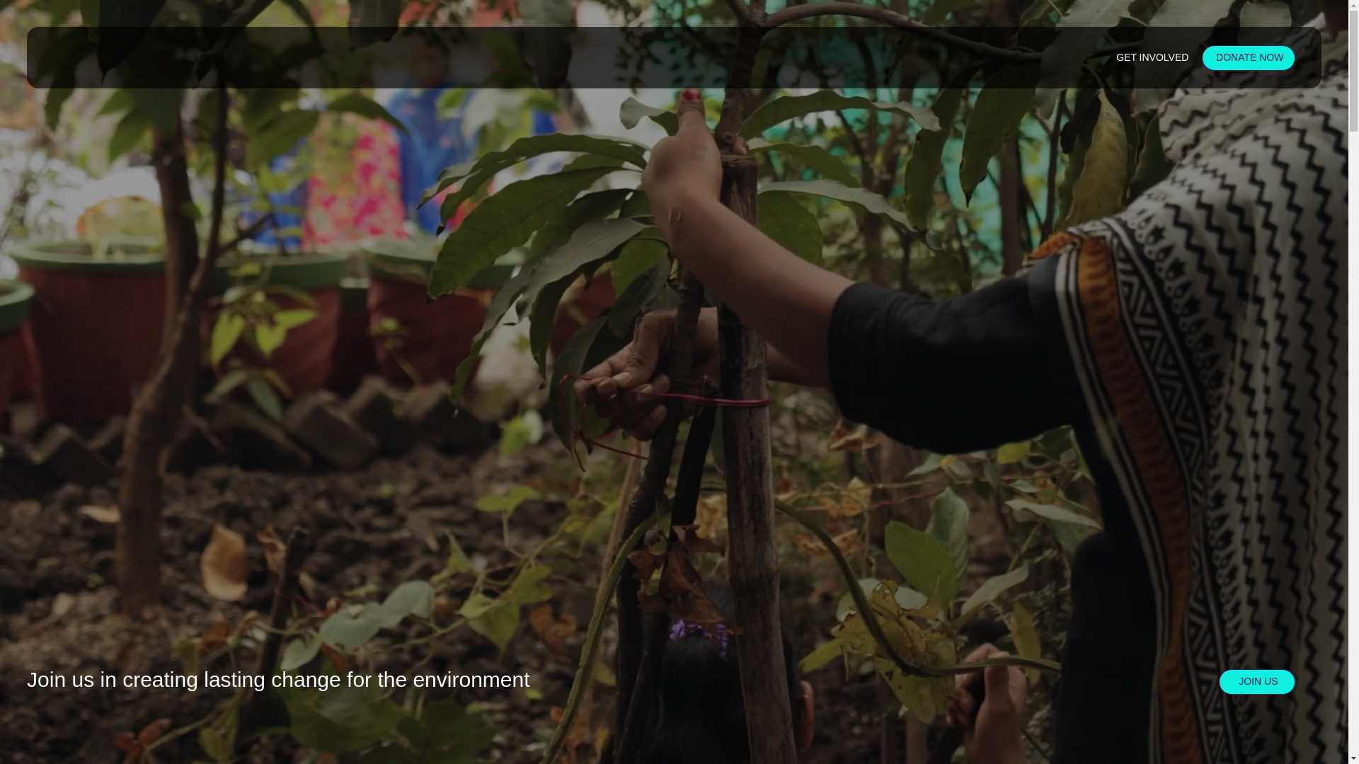 website screenshot of https://bharatiyavishistaadvaitaparty.com/