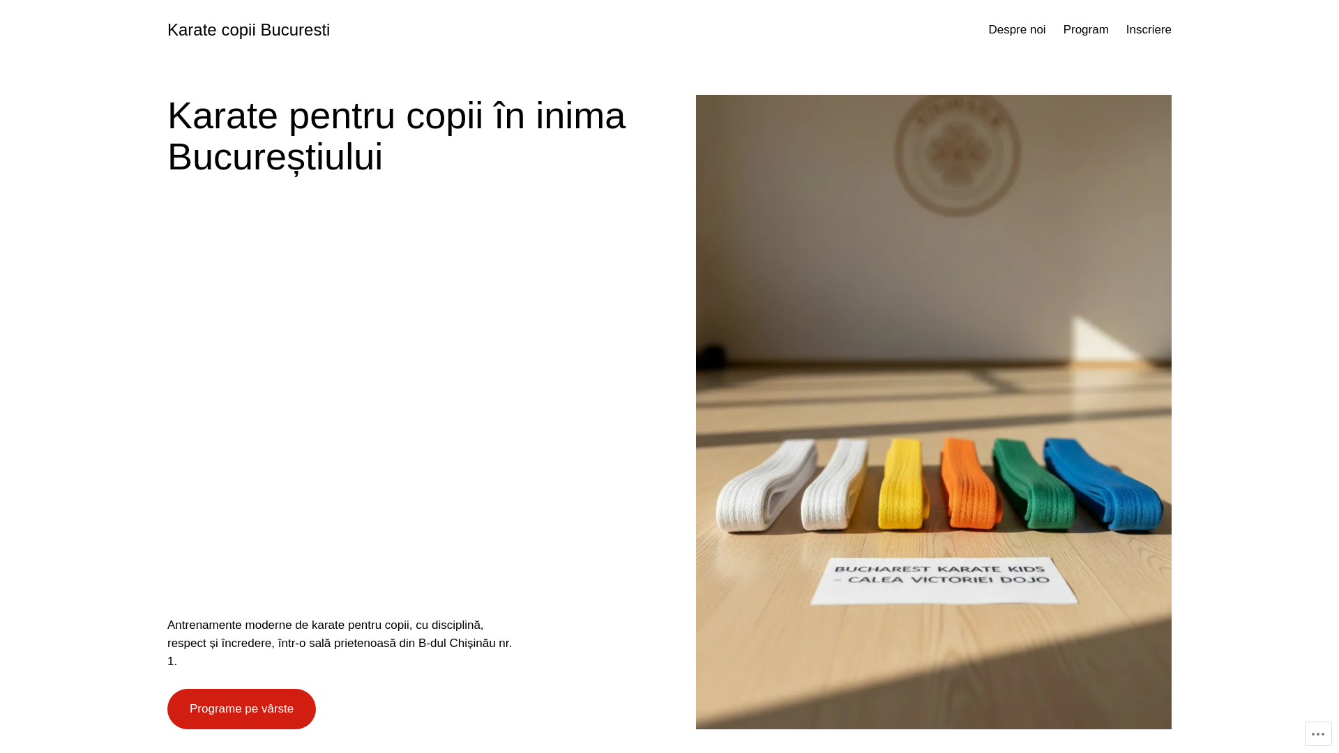 website screenshot of https://karatecopiibucuresti.ro/