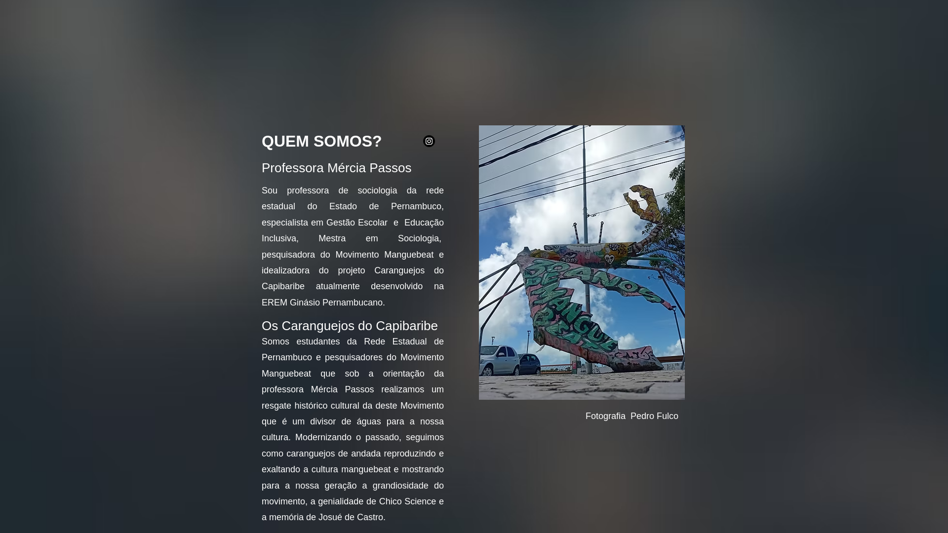 website screenshot of https://caranguejosdocapibaribe.com.br/
