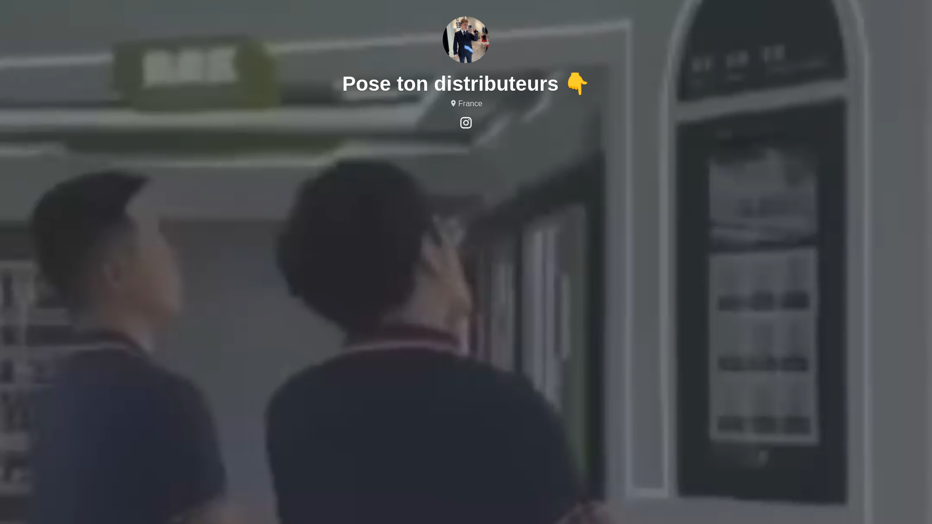 website screenshot of https://posetondistributeur.com/