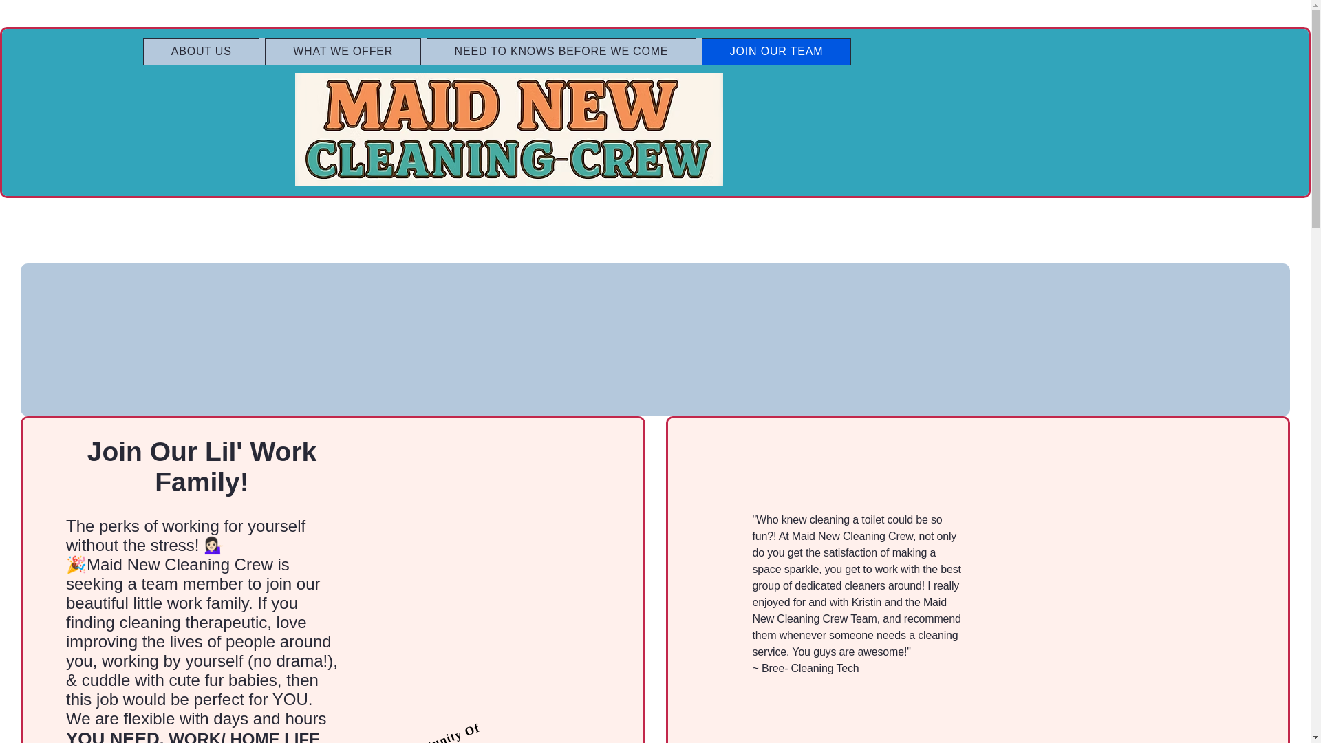 website screenshot of https://maidnewcleaningcrew4u.com/