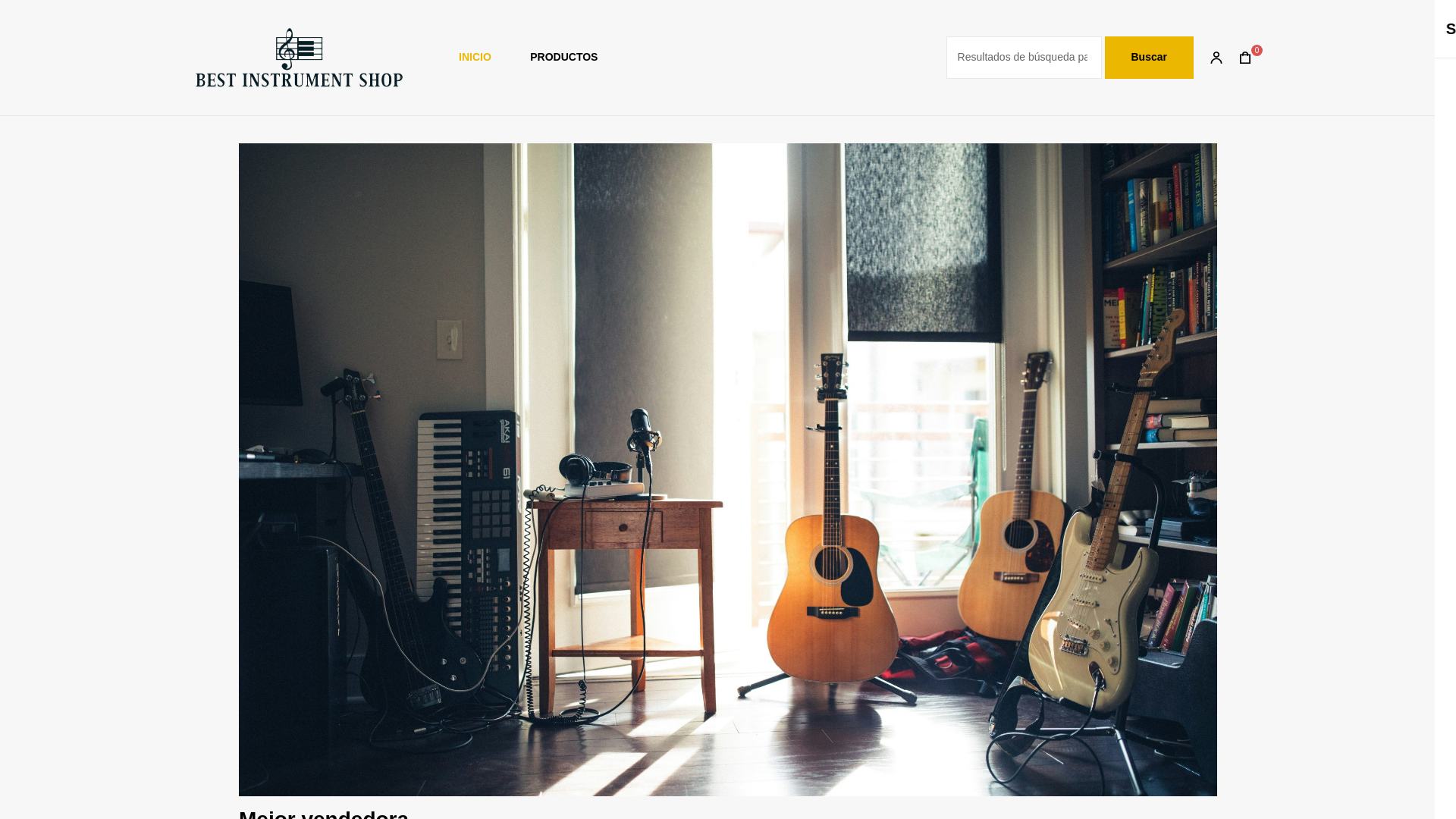 website screenshot of https://bestinstrumentshop.com