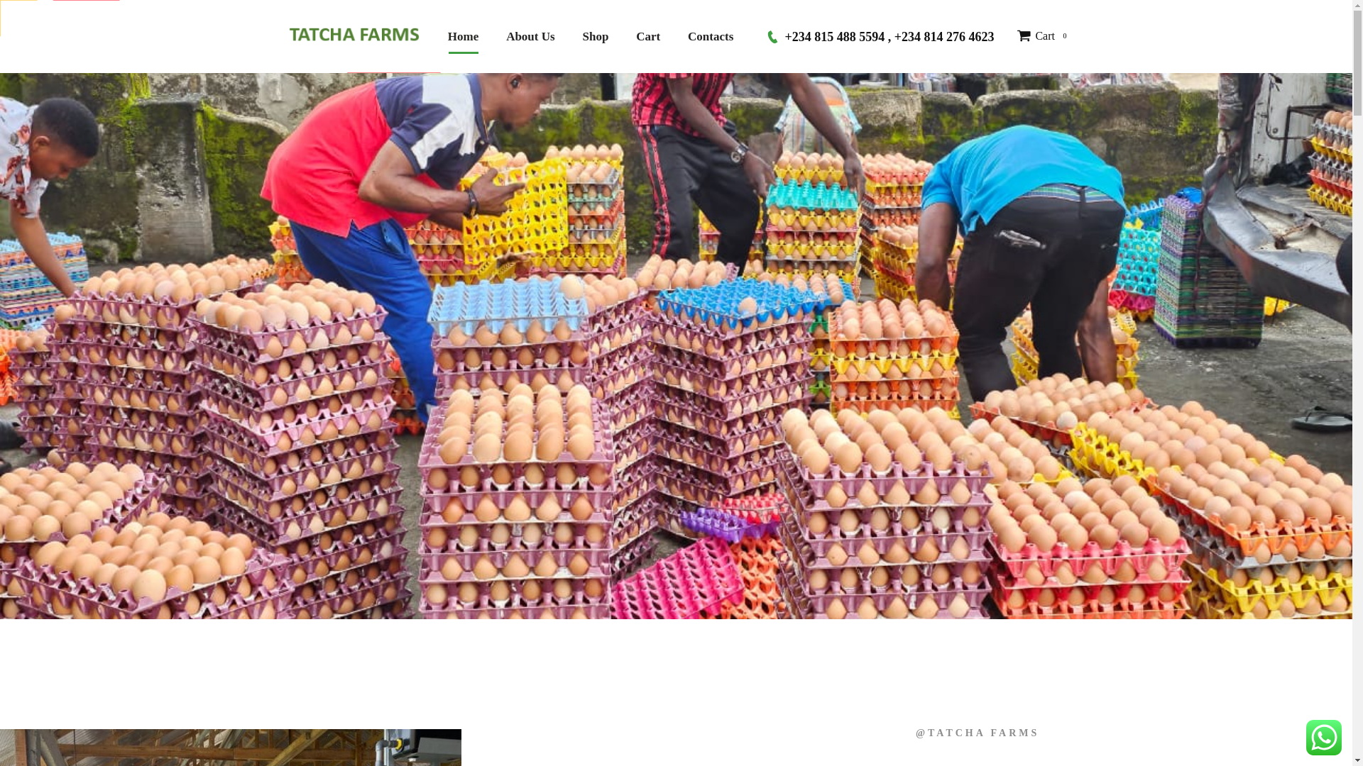 website screenshot of https://tatchafarmsltd.com.ng/