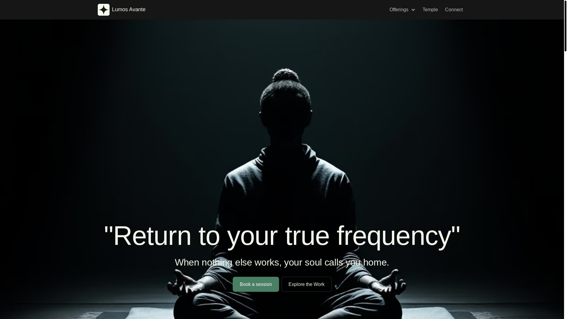 website screenshot of https://lumosavante.com/