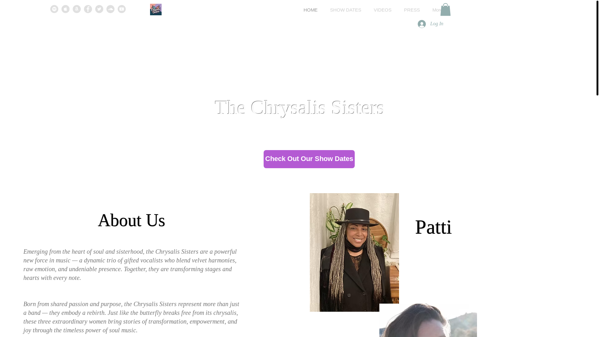 website screenshot of https://chrysalissisters.com/
