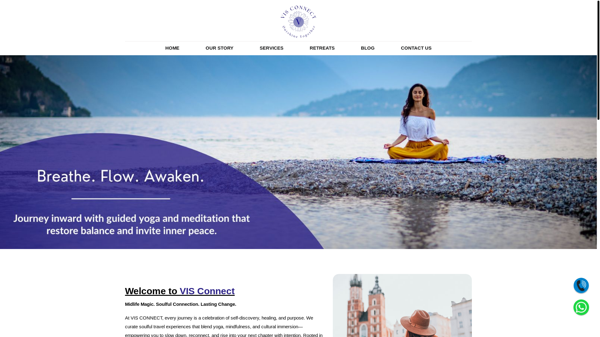website screenshot of https://visconnect.in/