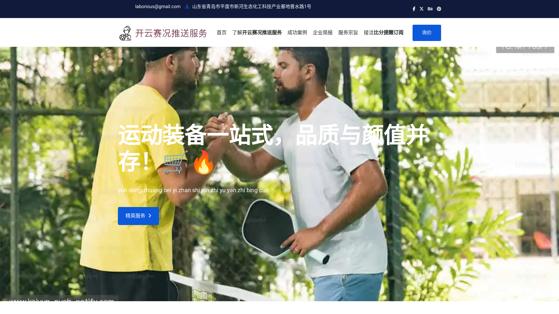 website screenshot of https://kaiyun-push-notify.com/