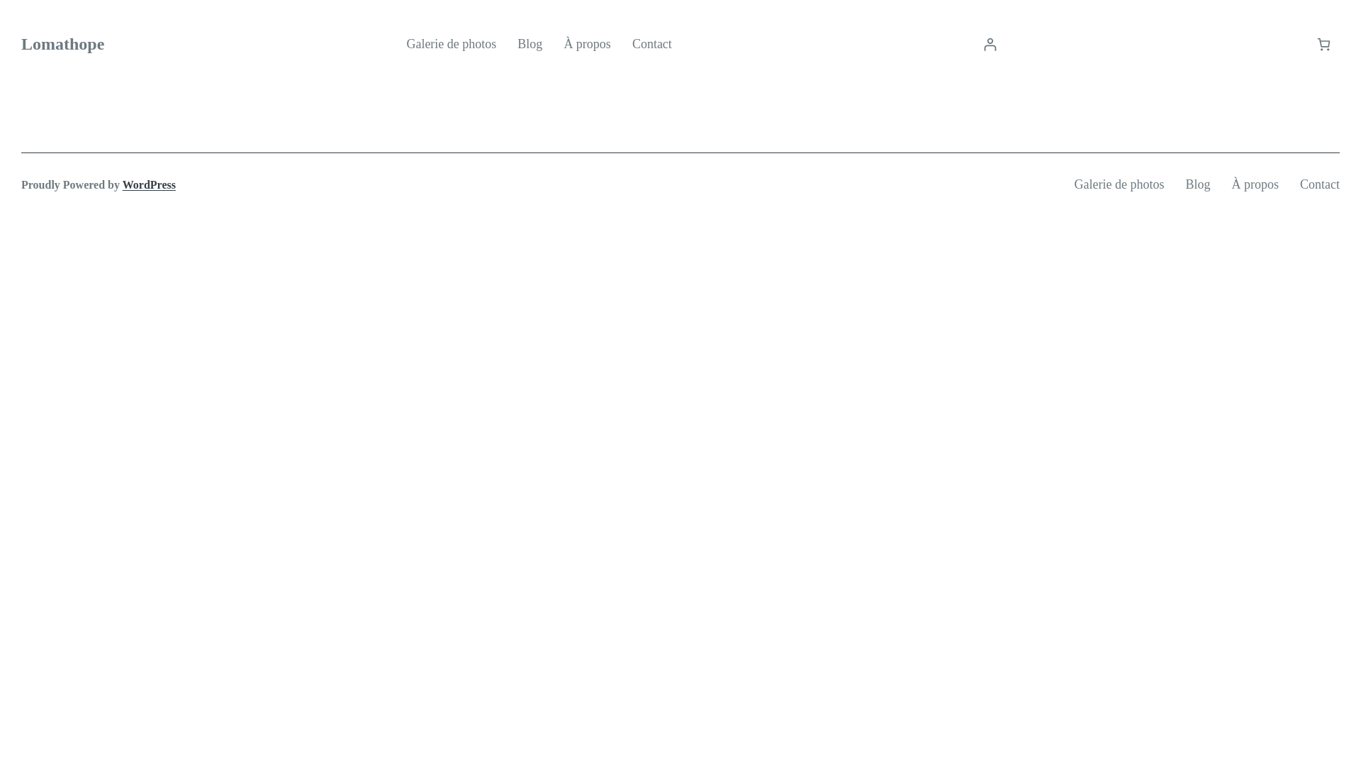 website screenshot of https://didier-savanier.fr/