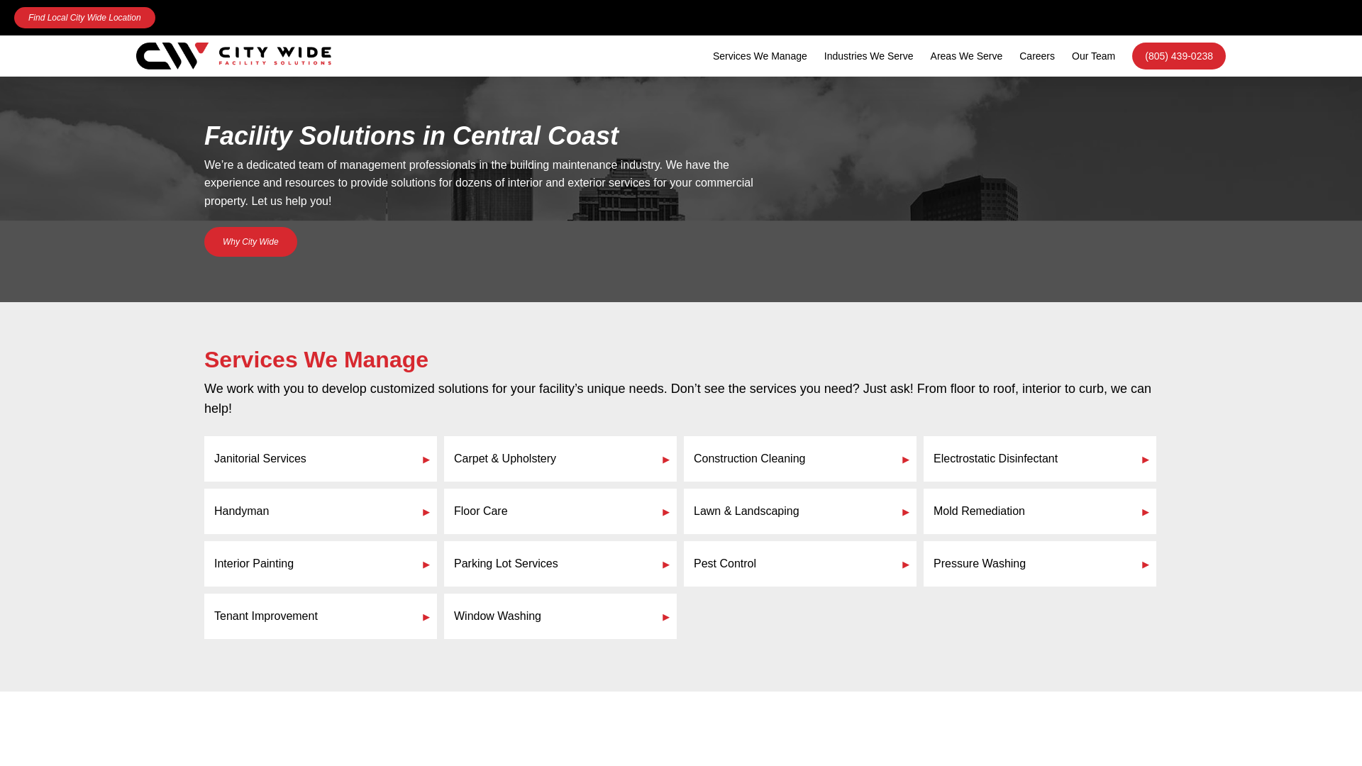 website screenshot of https://citywidecentralclean.com/