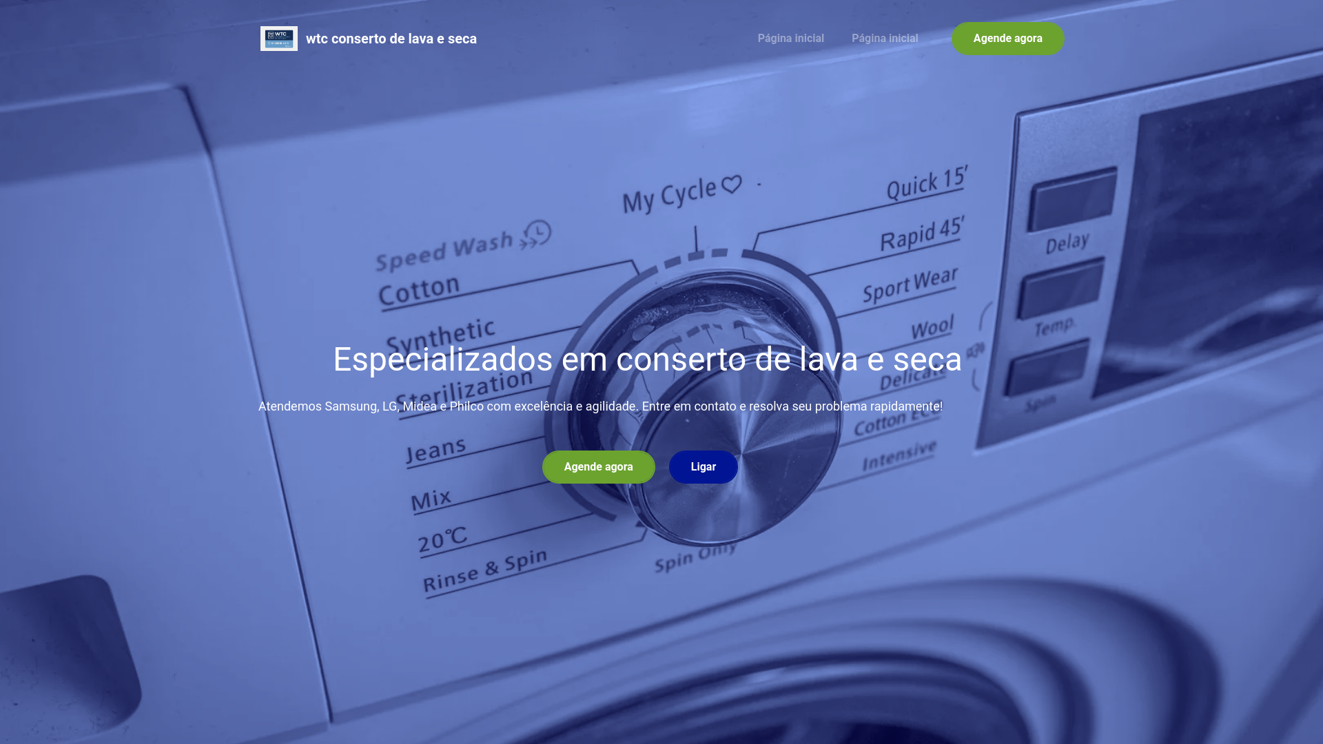 website screenshot of https://wtcconsetolavaseca.com.br