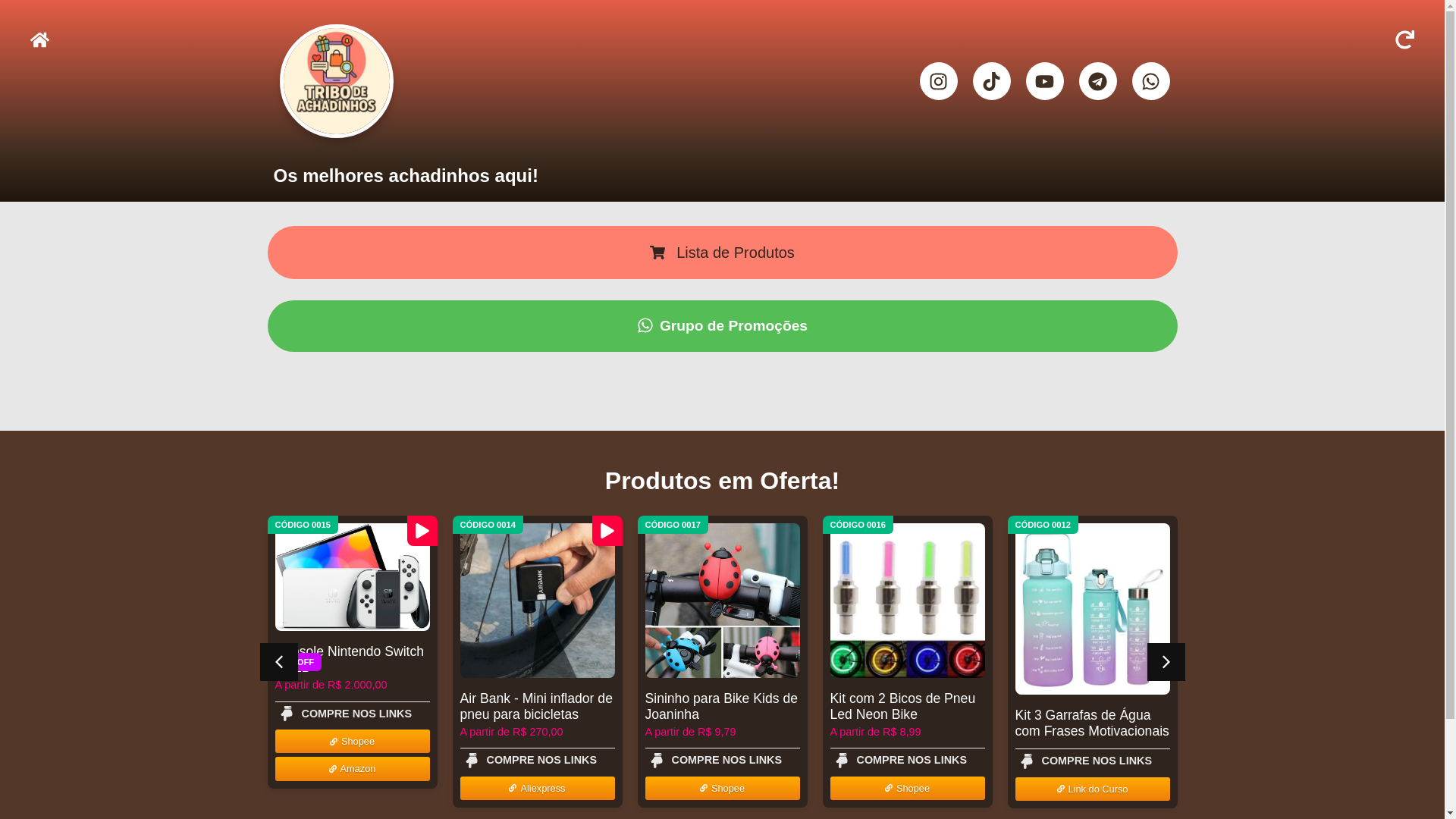 website screenshot of https://tribodosachadinhos.com.br/