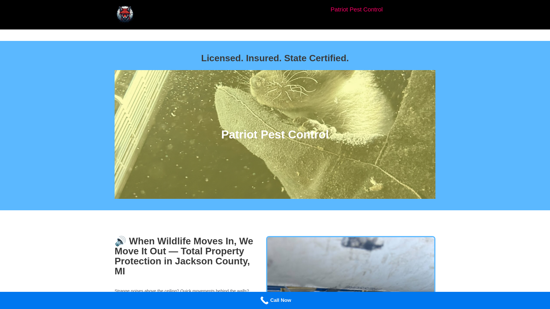 website screenshot of https://empirepestcontrol.org/
