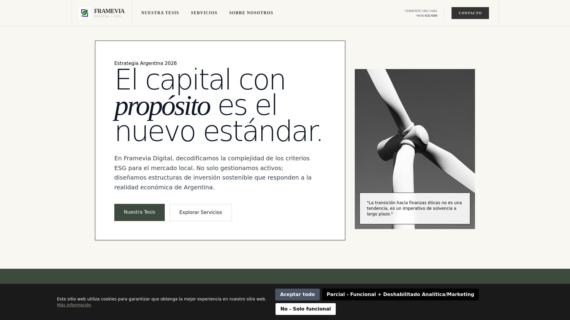 website screenshot of https://framevia.digital/