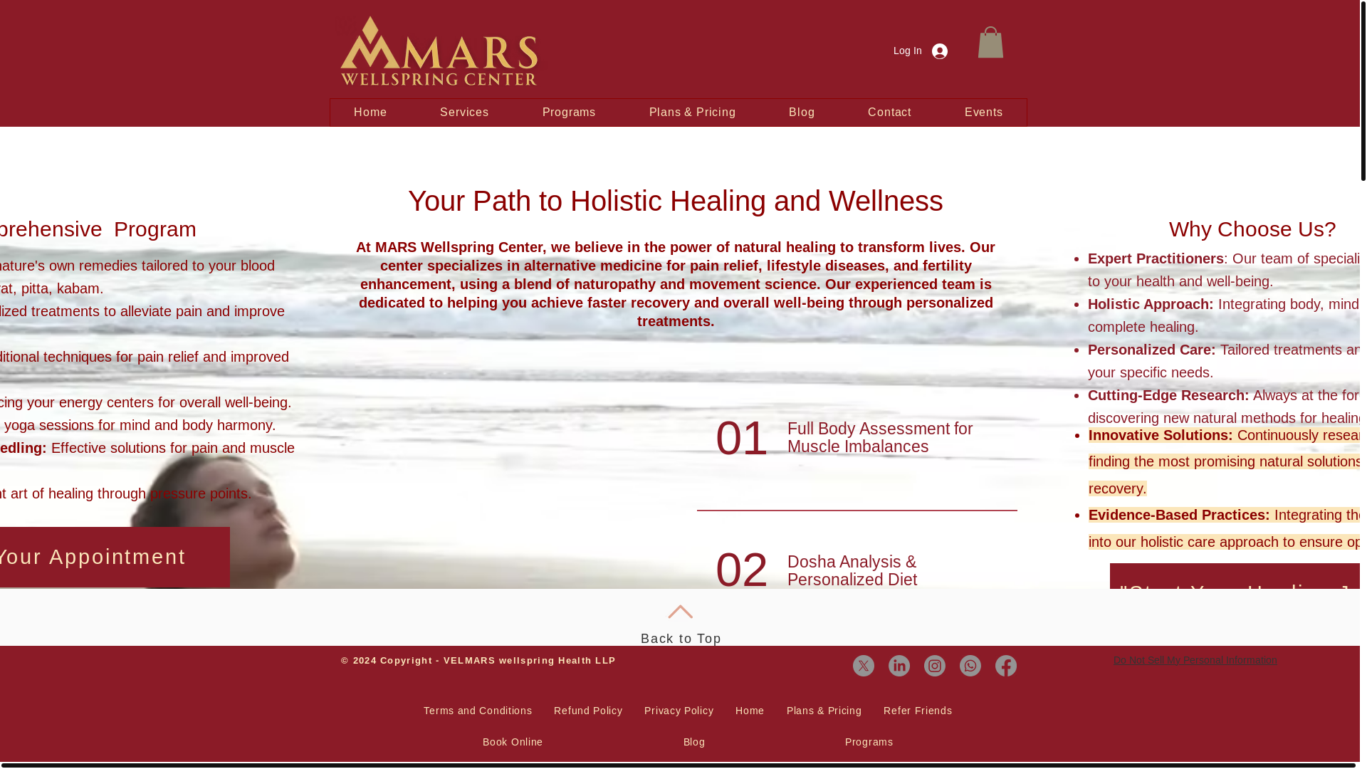 website screenshot of https://velmars.in/