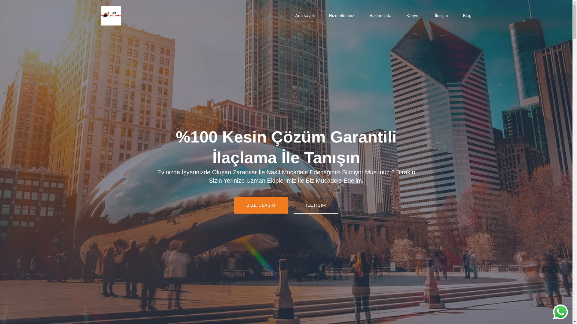 website screenshot of https://ipsilaclama.com/
