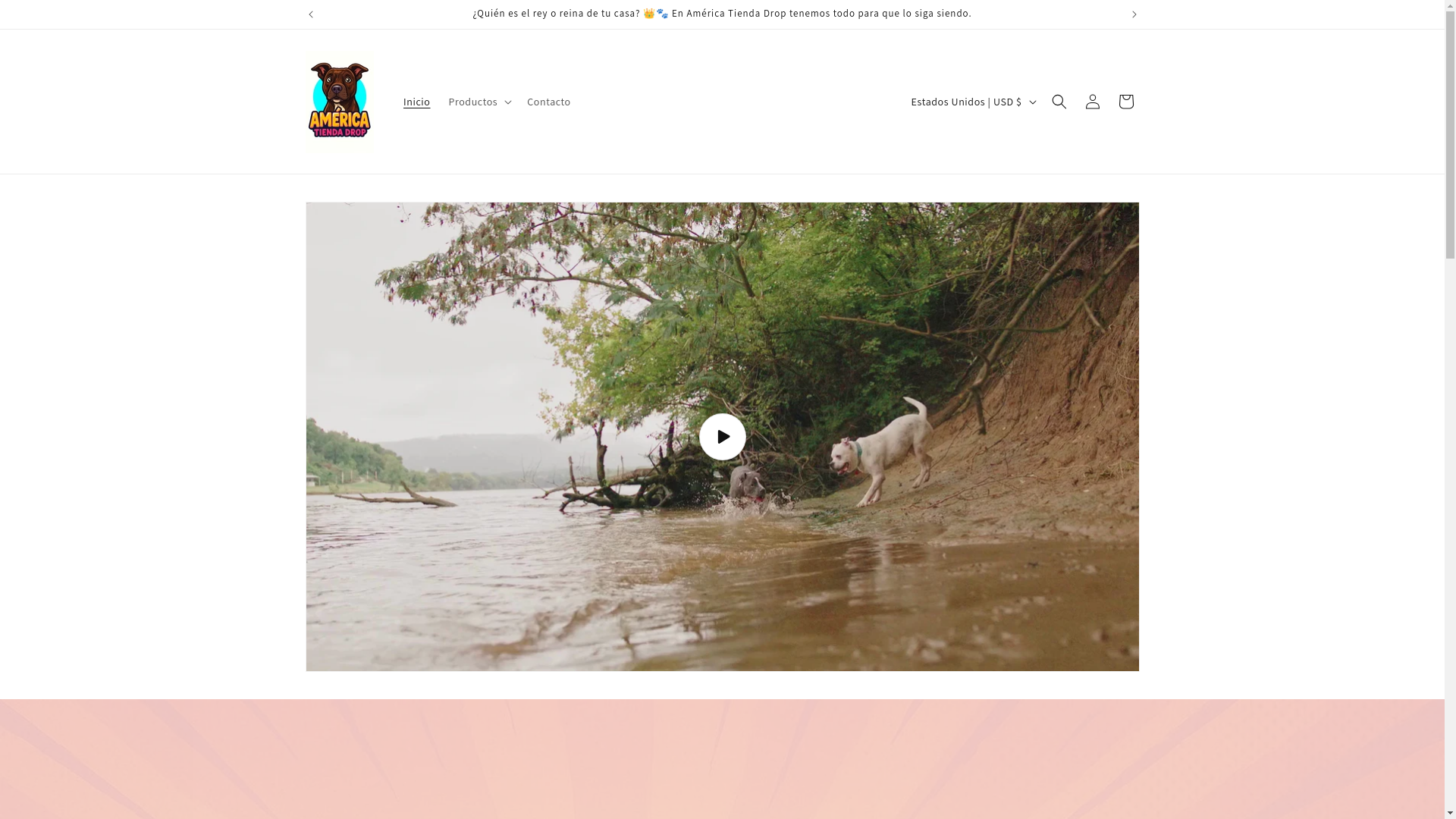 website screenshot of https://americatiendadrop.store/