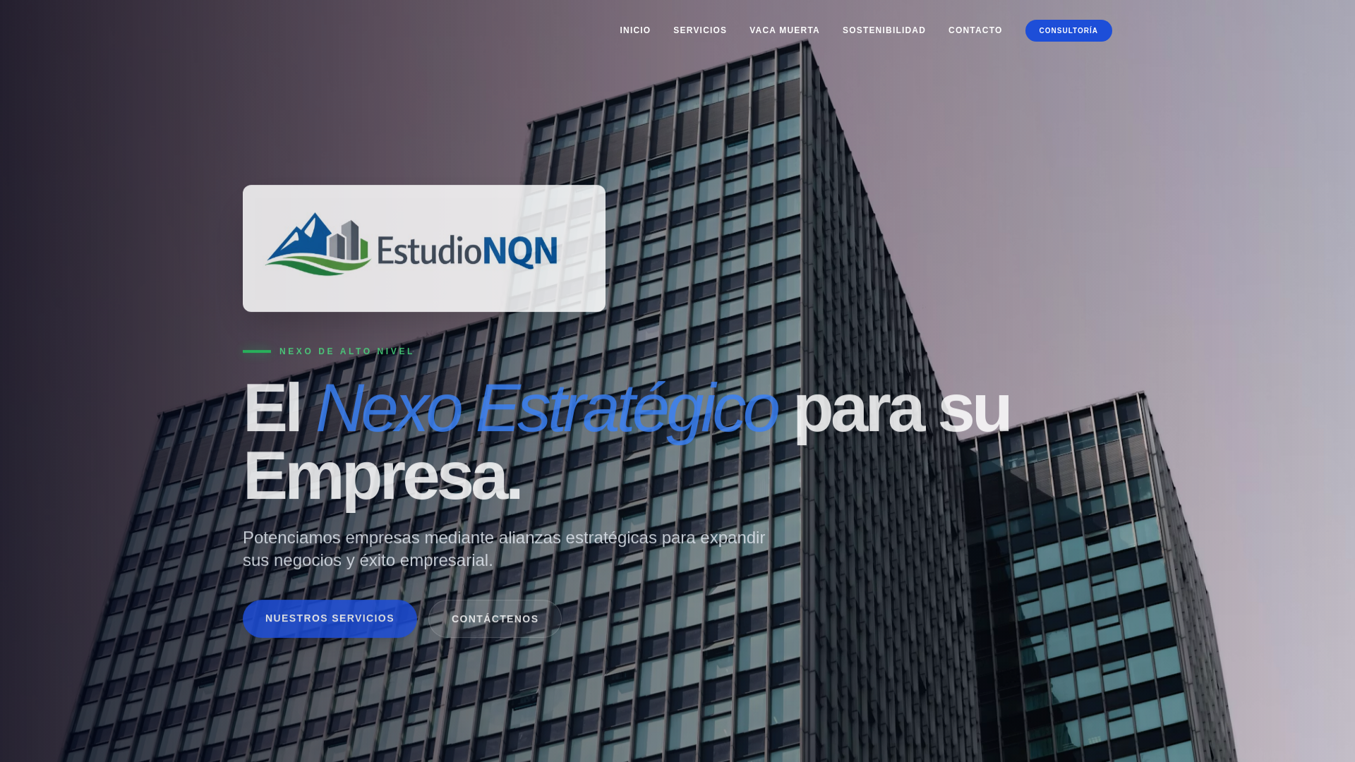 website screenshot of https://estudionqn.com/