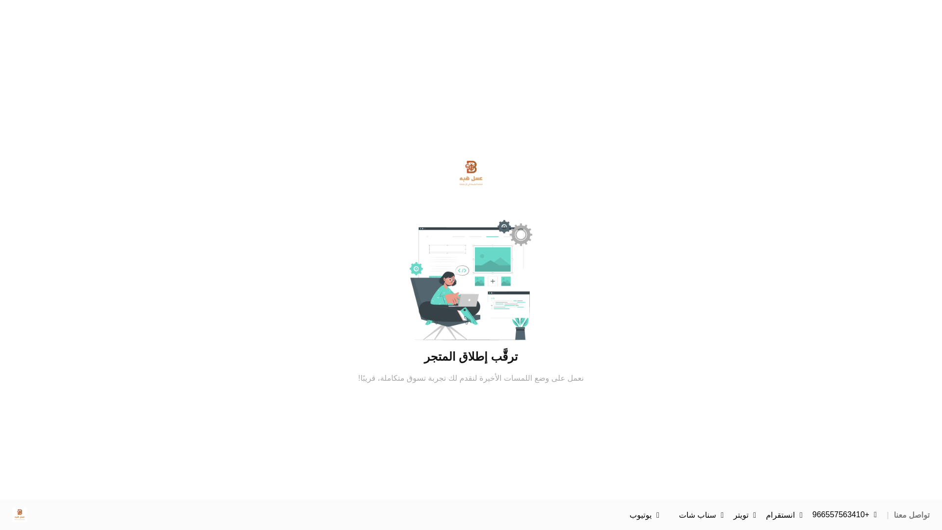 website screenshot of https://asalheba.com/