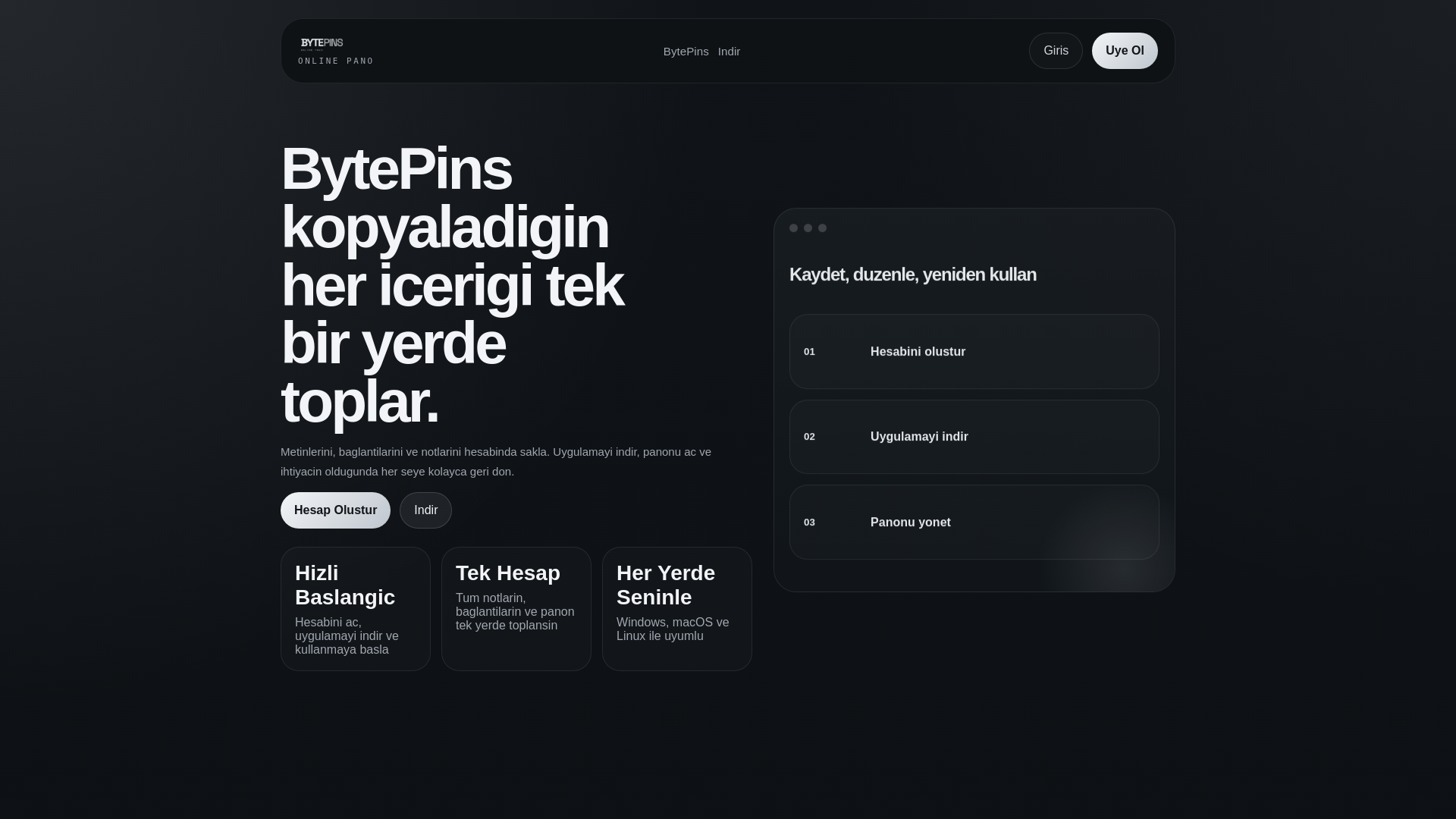 website screenshot of https://bytepins.com
