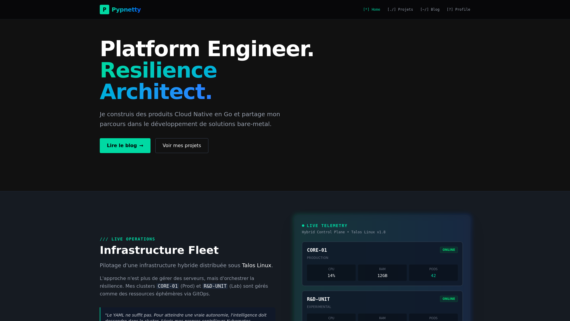 website screenshot of https://pypnetty-fr.pages.dev/