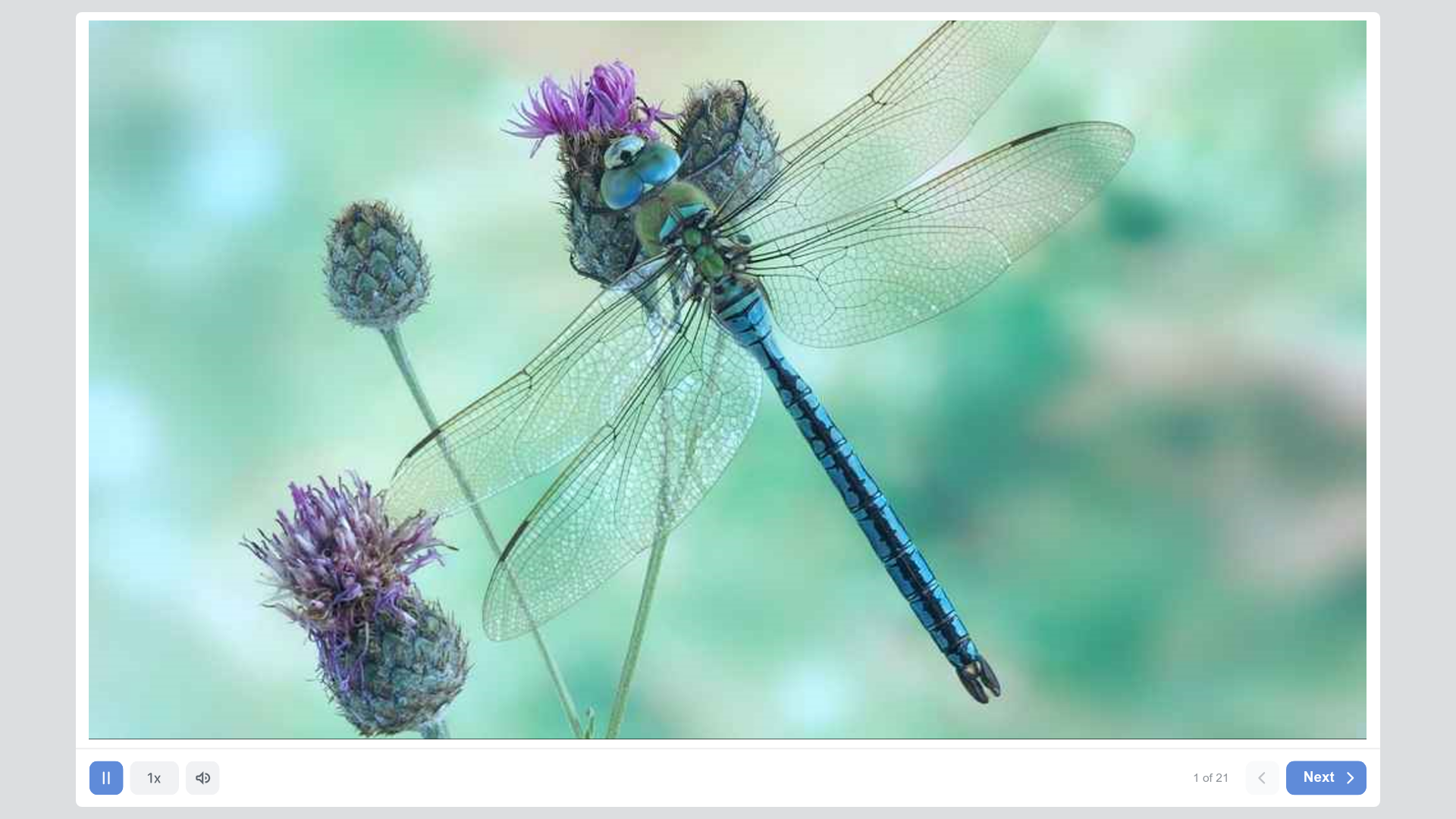 website screenshot of https://6be2ff0b-8ce1-4da1-9b68-d36db8baae7f-qa.pages.dev/