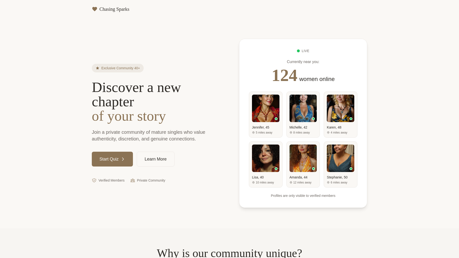 website screenshot of https://chasingsparks.net/