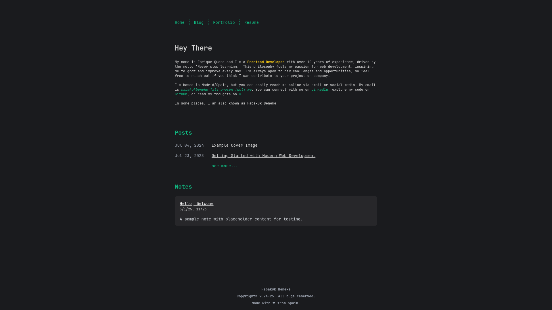 website screenshot of https://hbeneke.com/