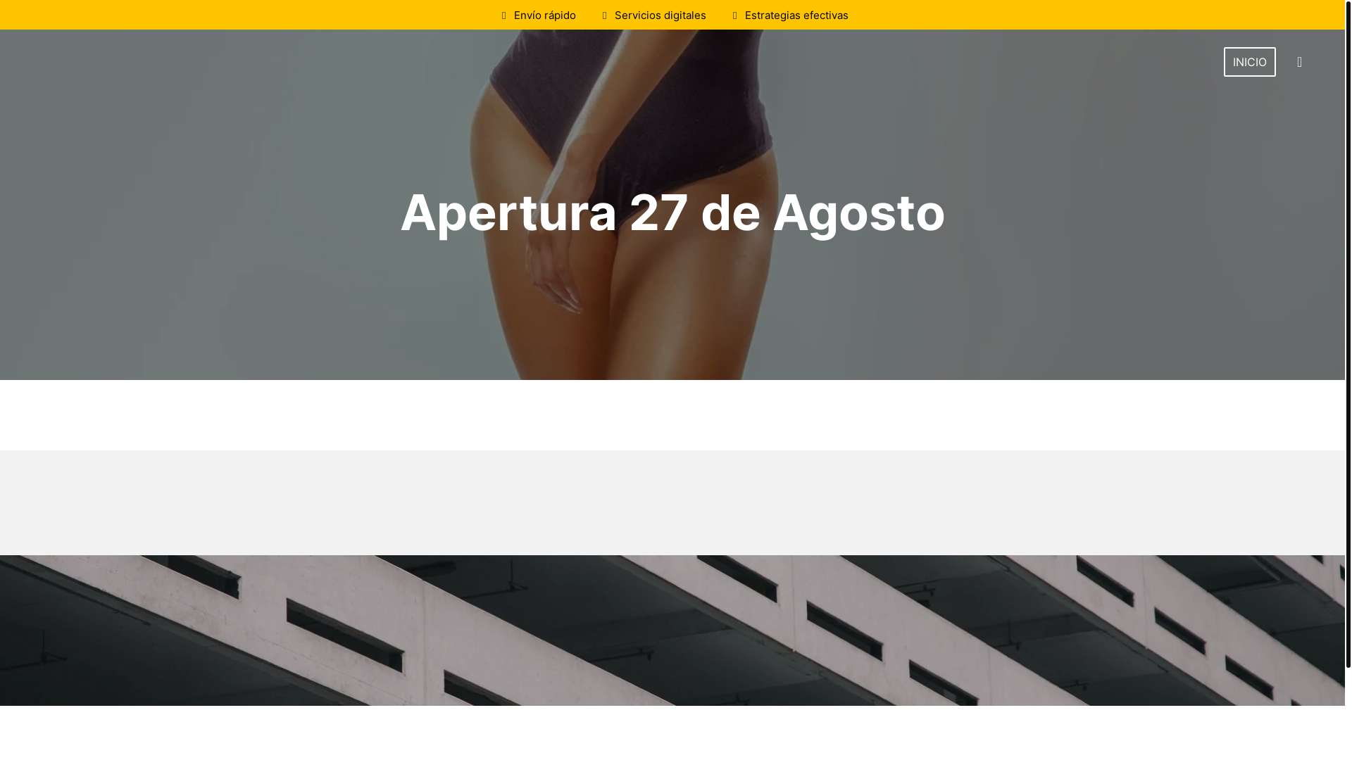 website screenshot of https://koasocks.com/