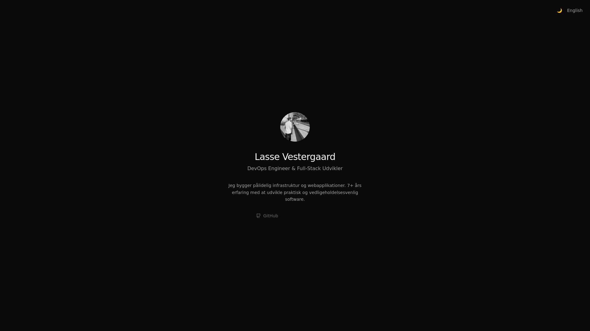 website screenshot of https://site.lassejlv.dk