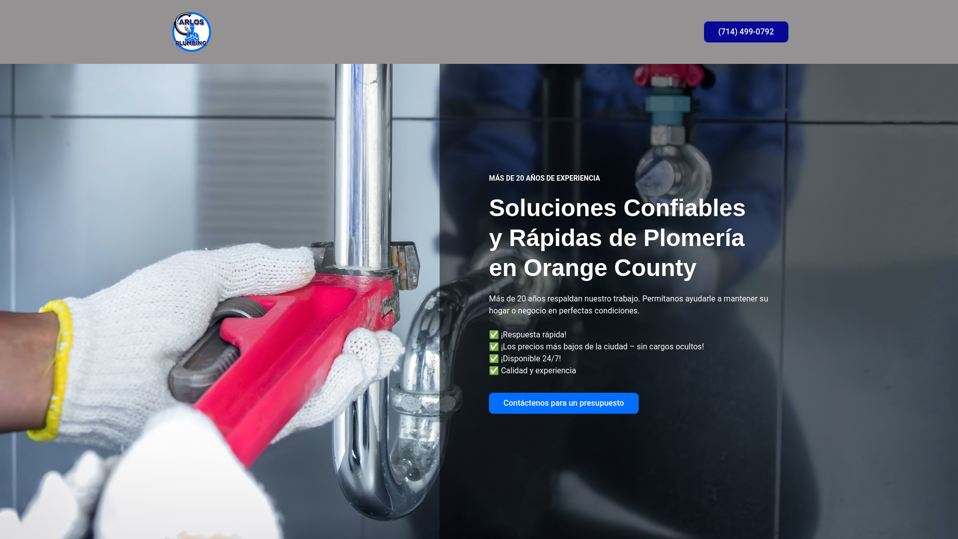 website screenshot of https://plomeriaexpress24.com