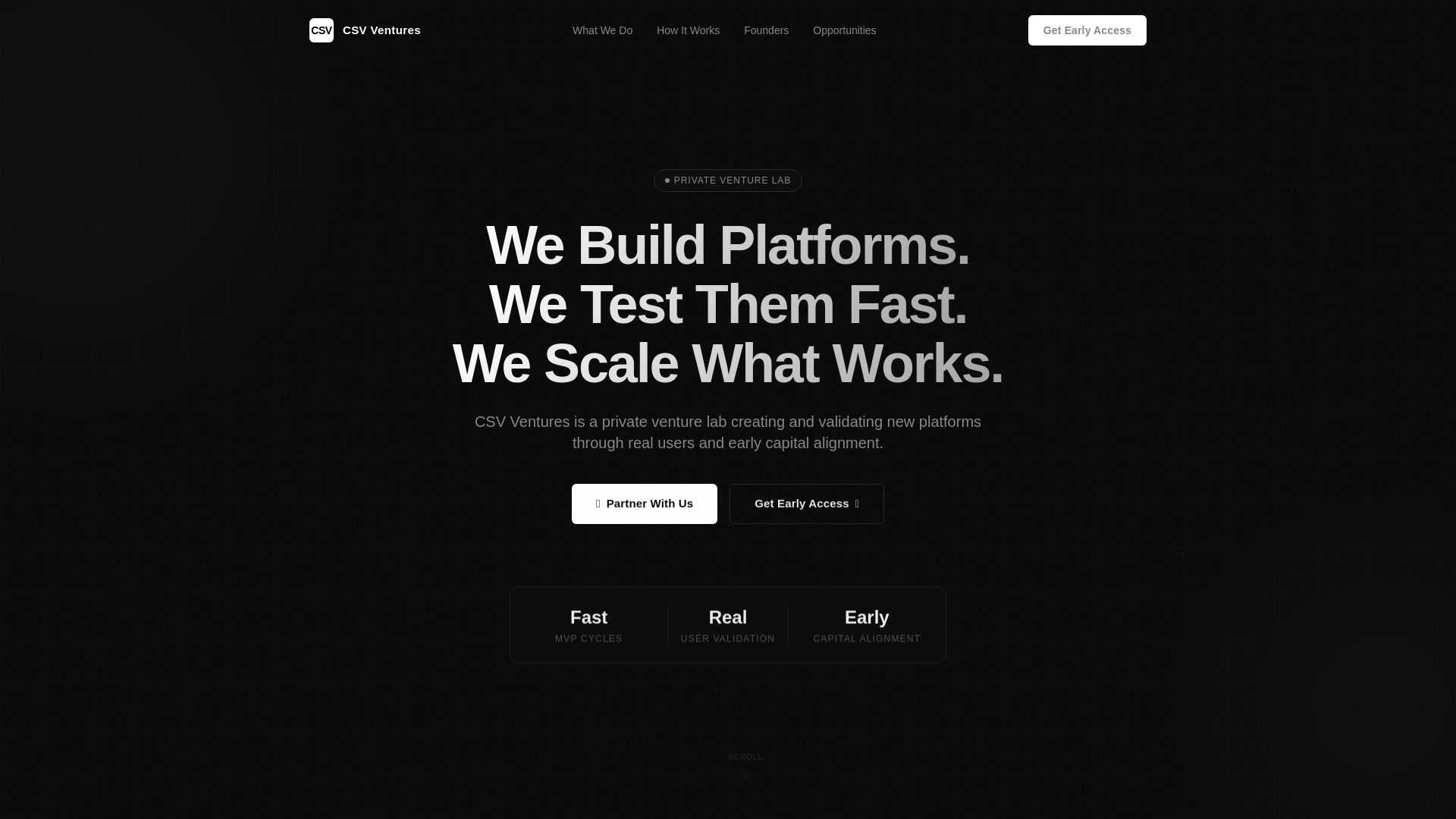 website screenshot of https://csv-ventures-site.pages.dev/