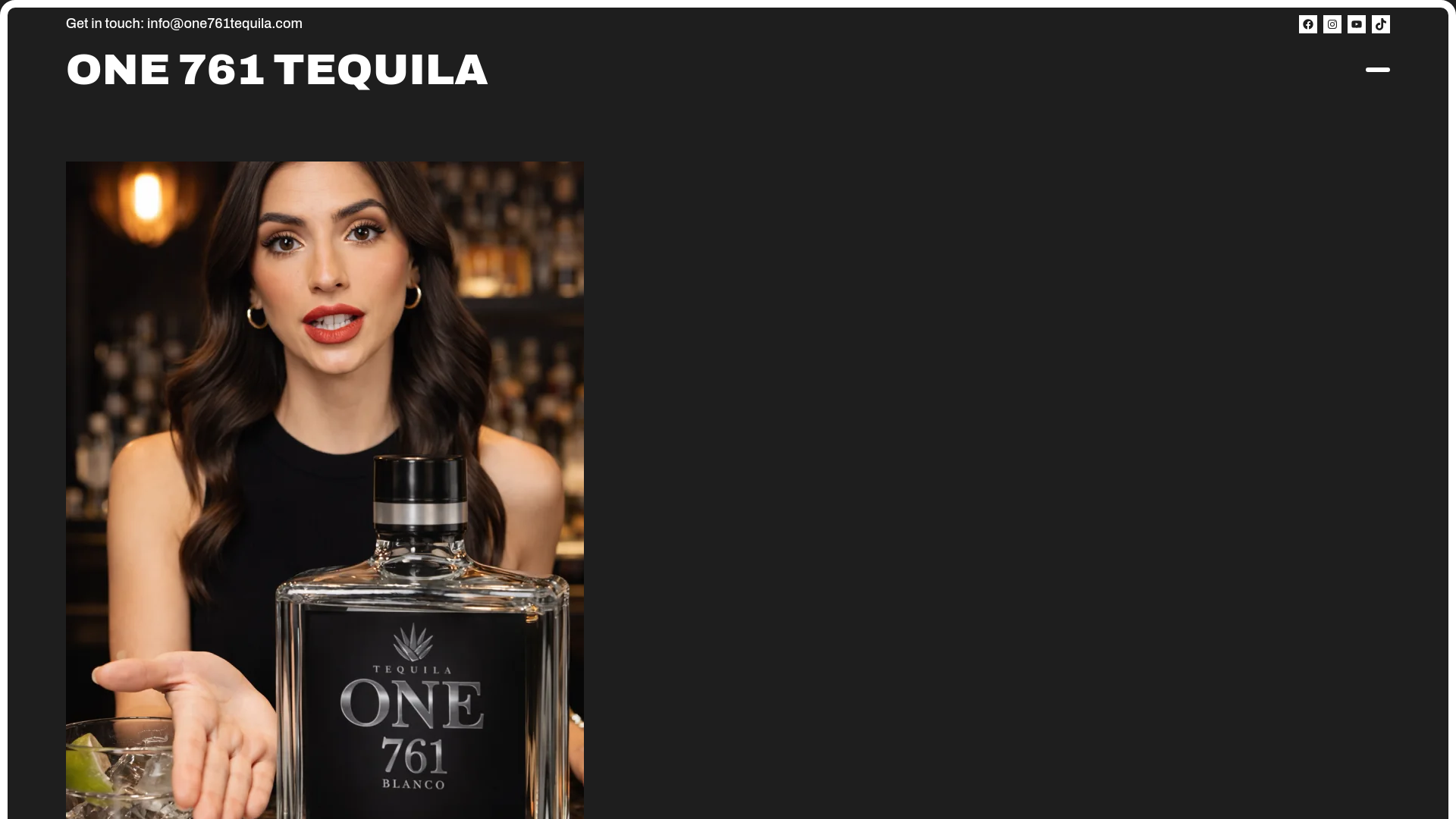 website screenshot of https://one761tequila.com